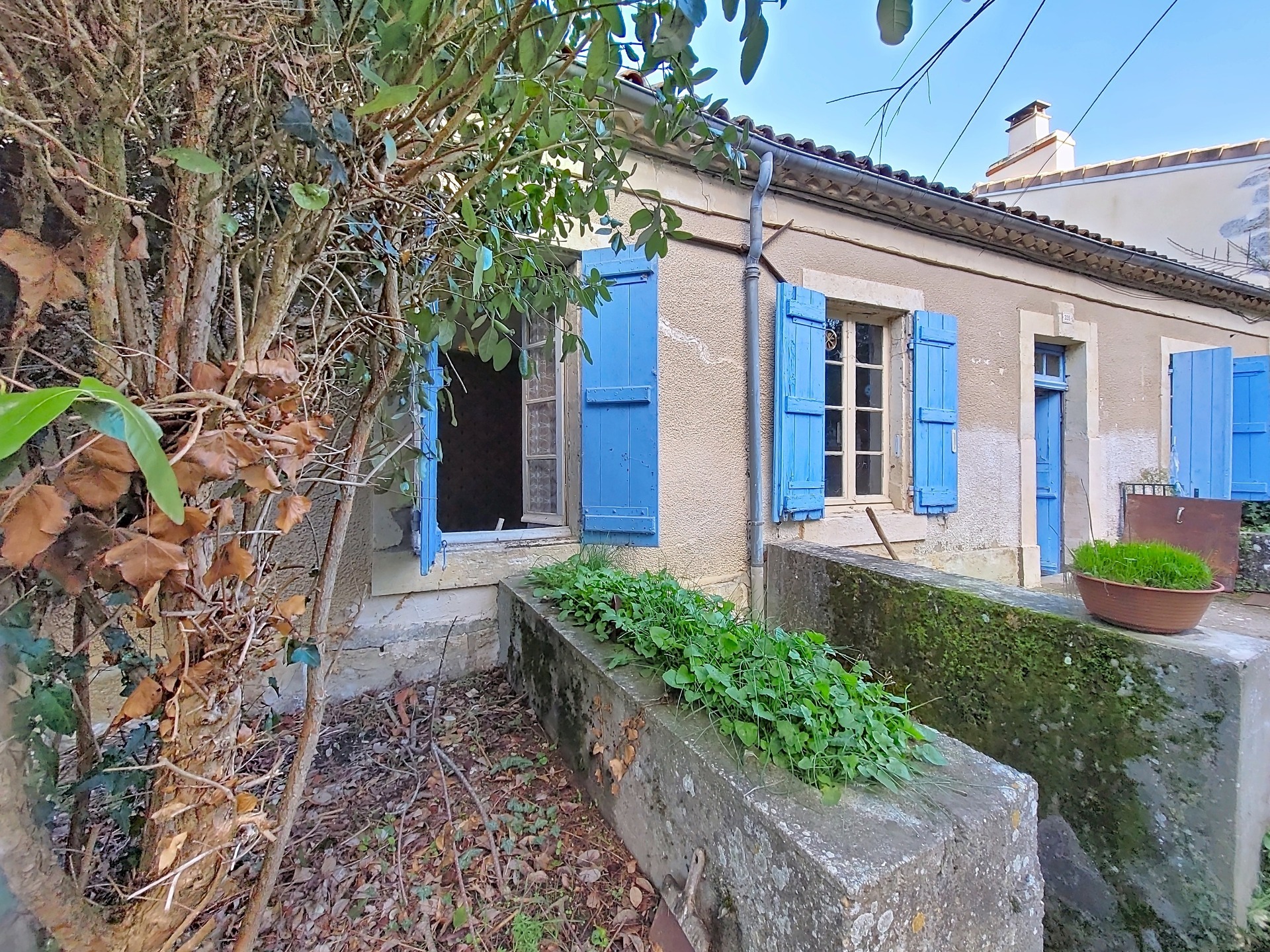 Maison