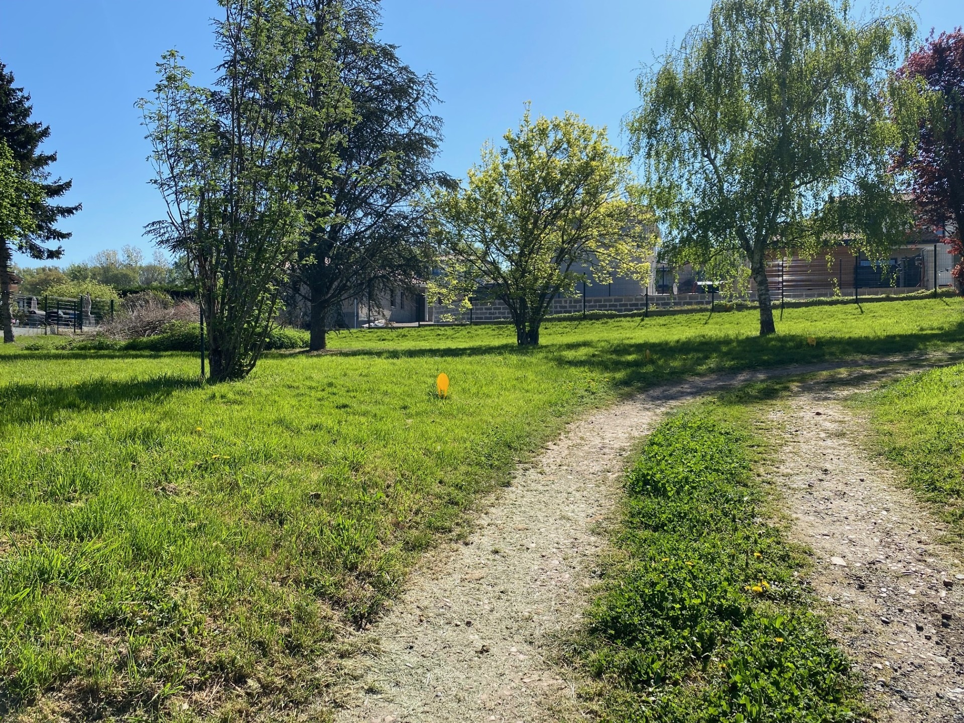 Terrain