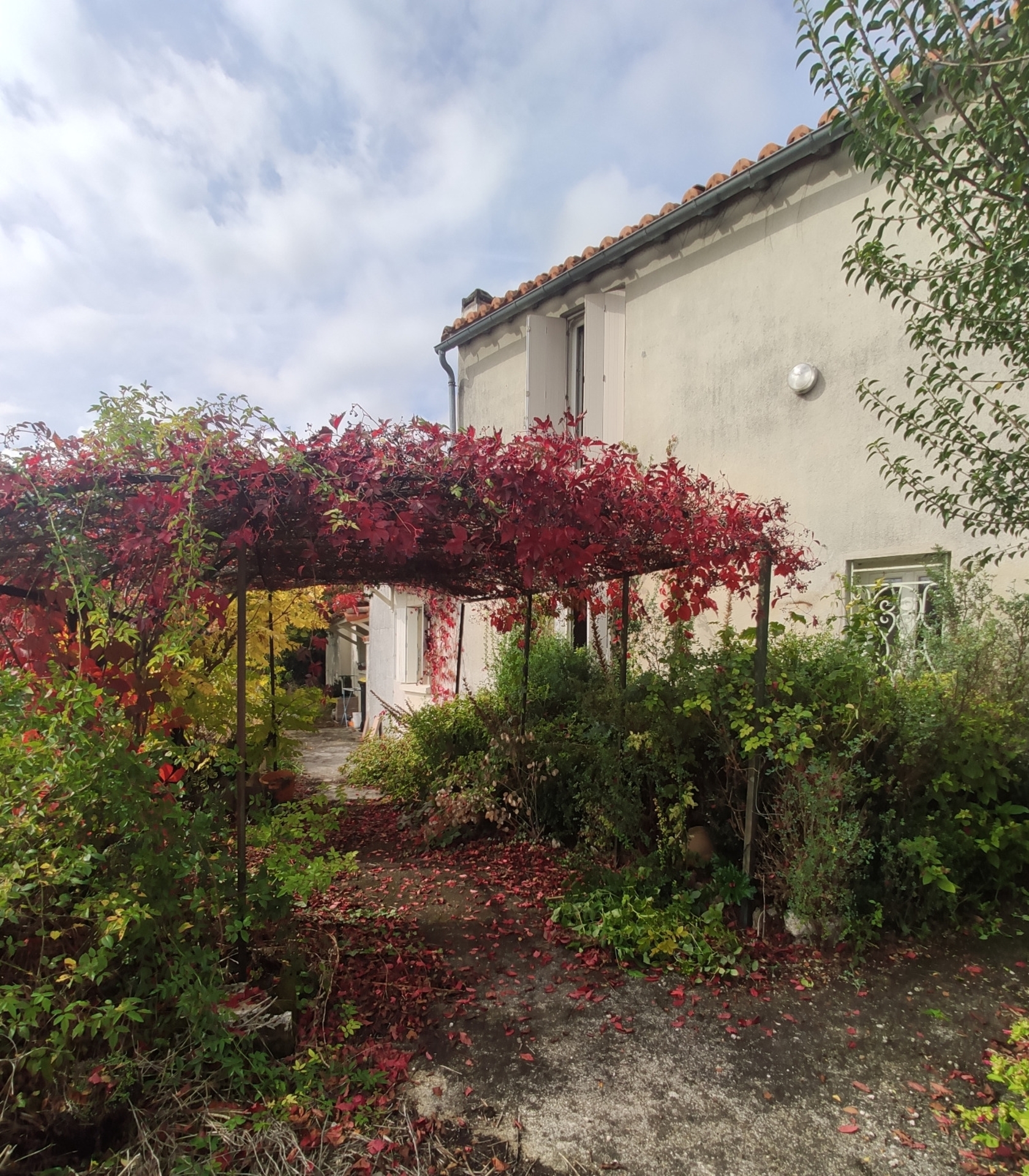 Maison
