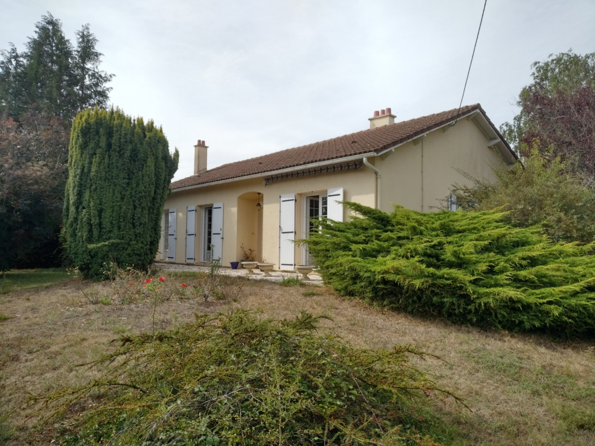 Maison