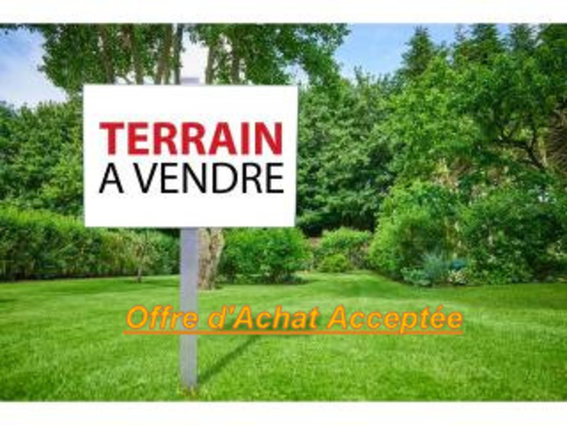 Terrain