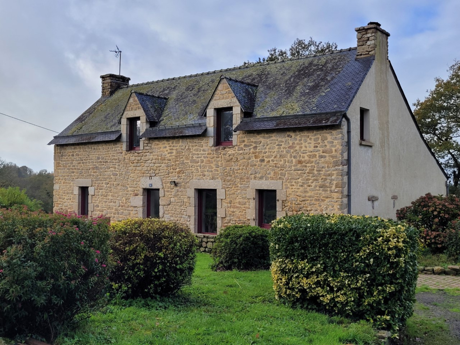 Maison