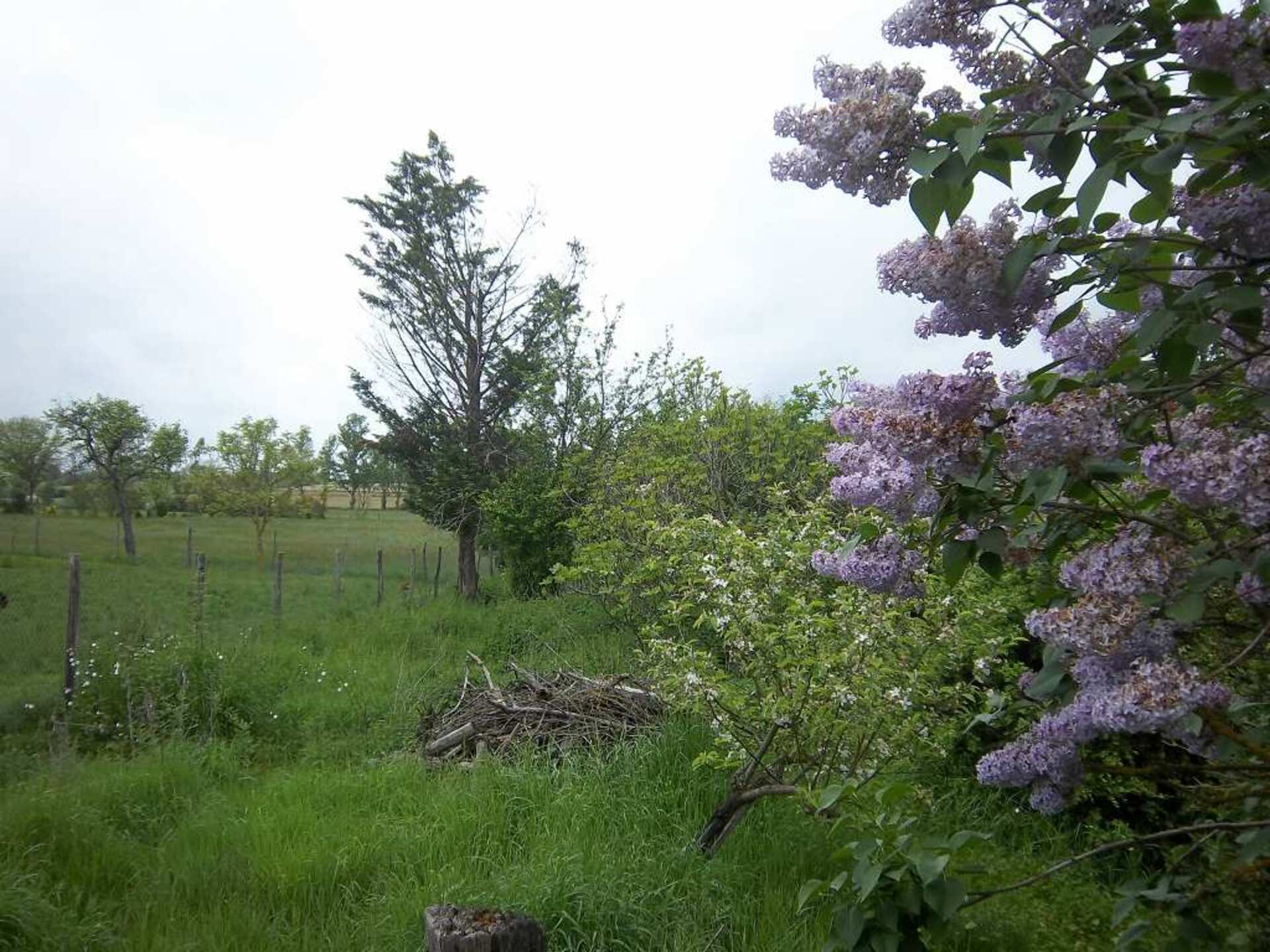 Terrain