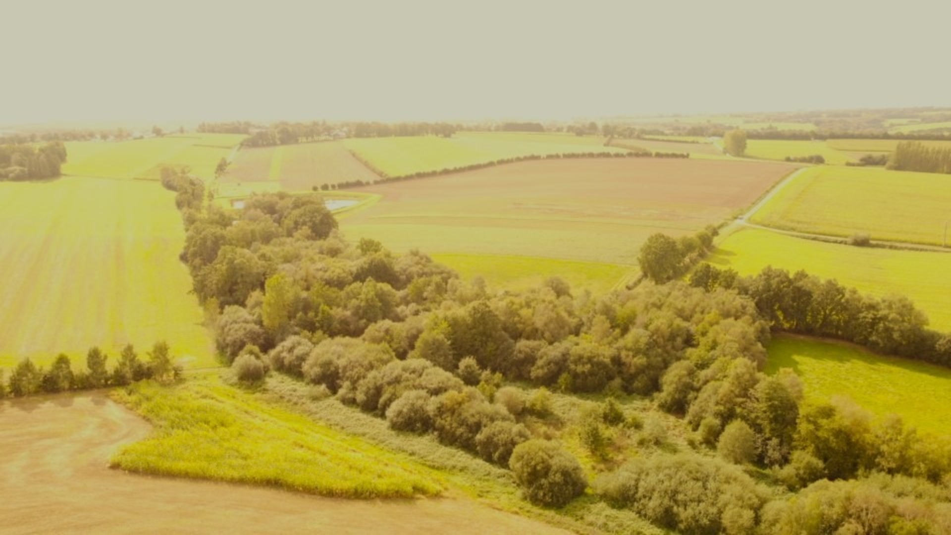 Terrain