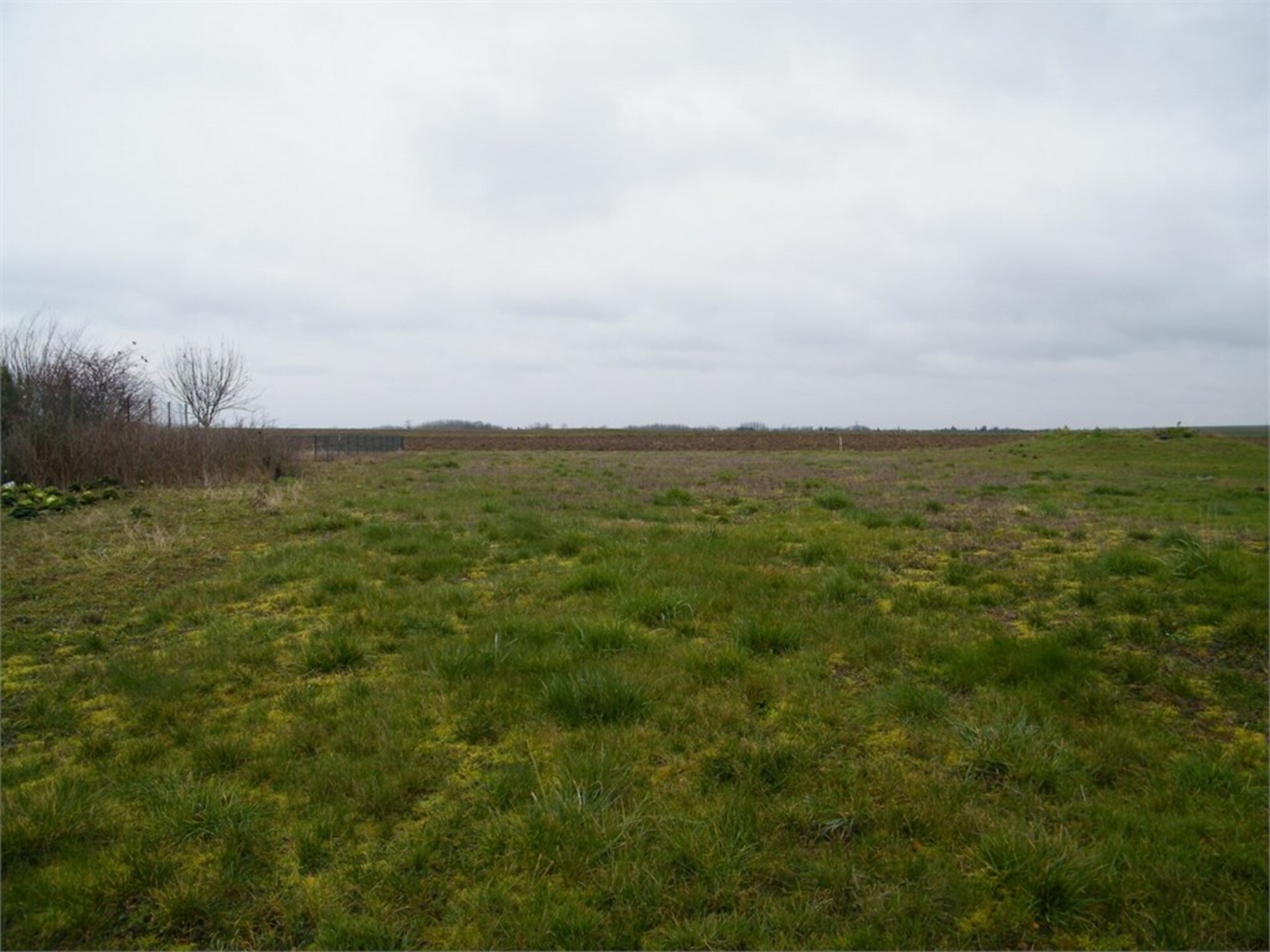 Terrain