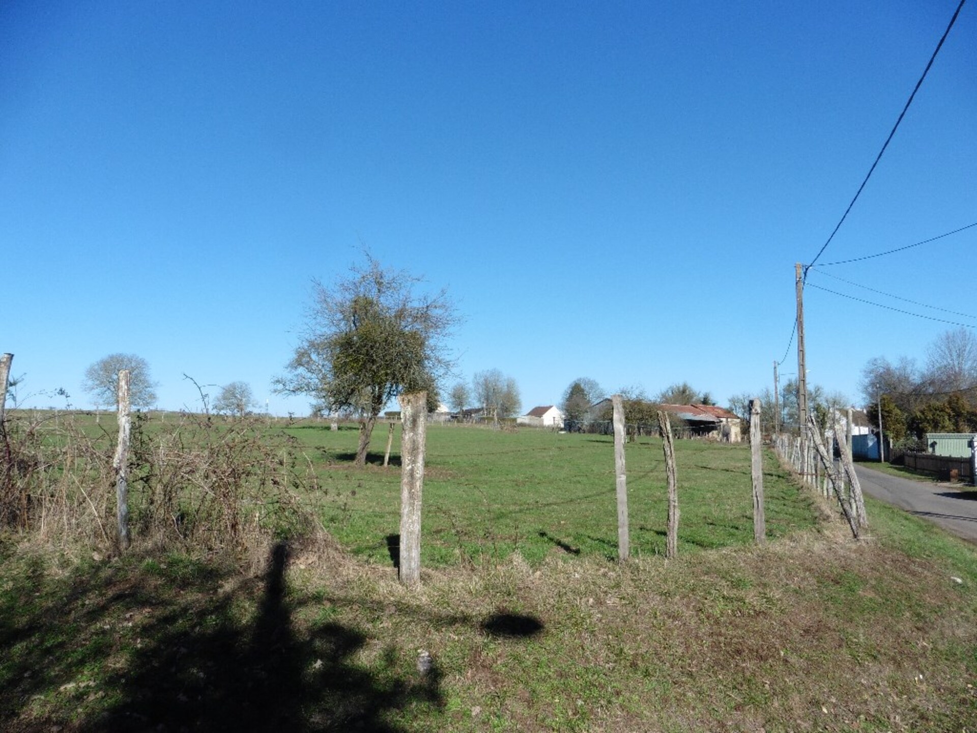 Terrain