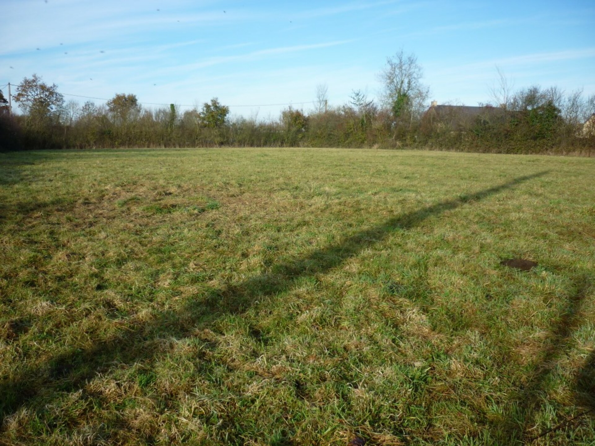 Terrain