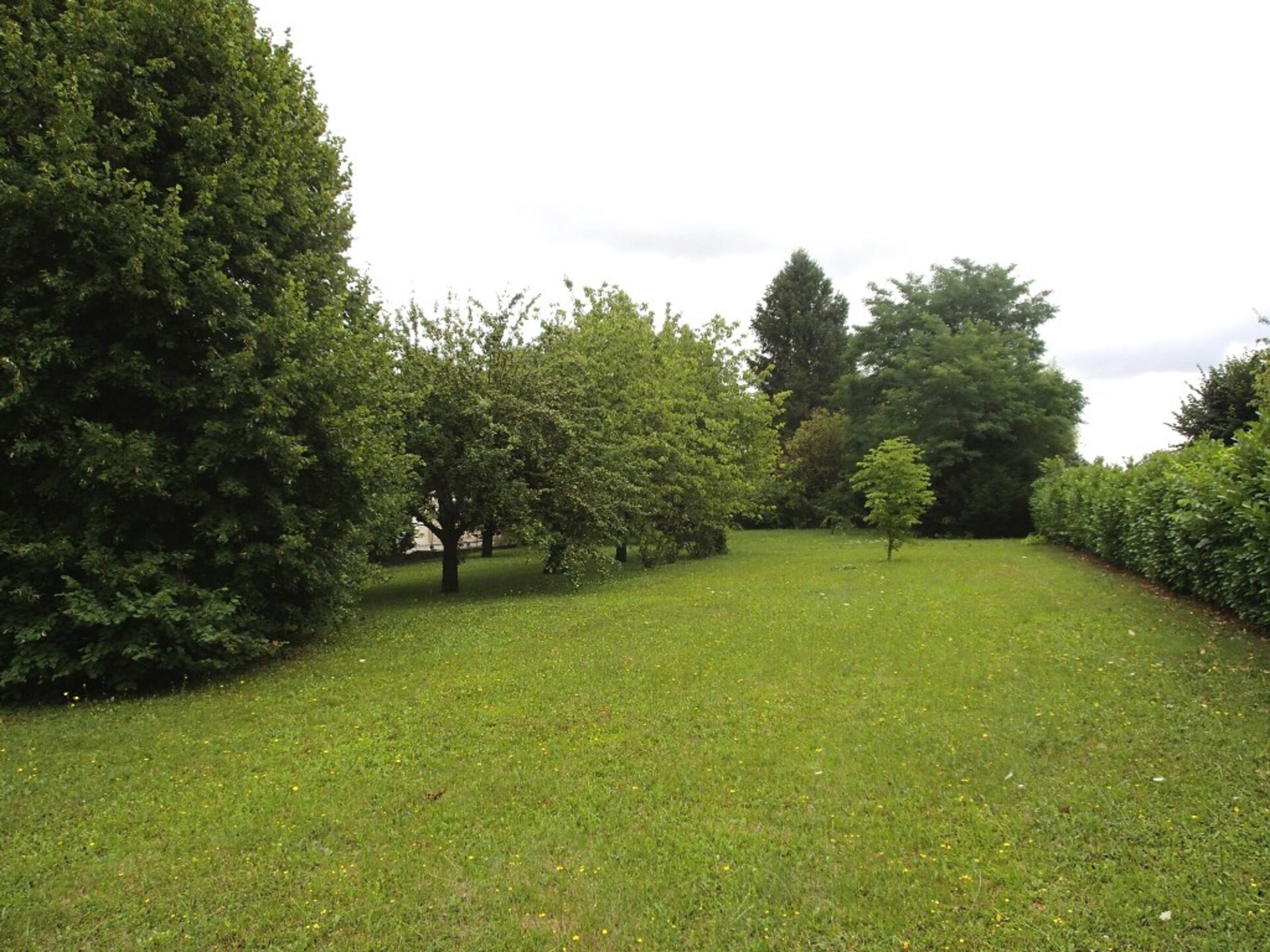 Terrain