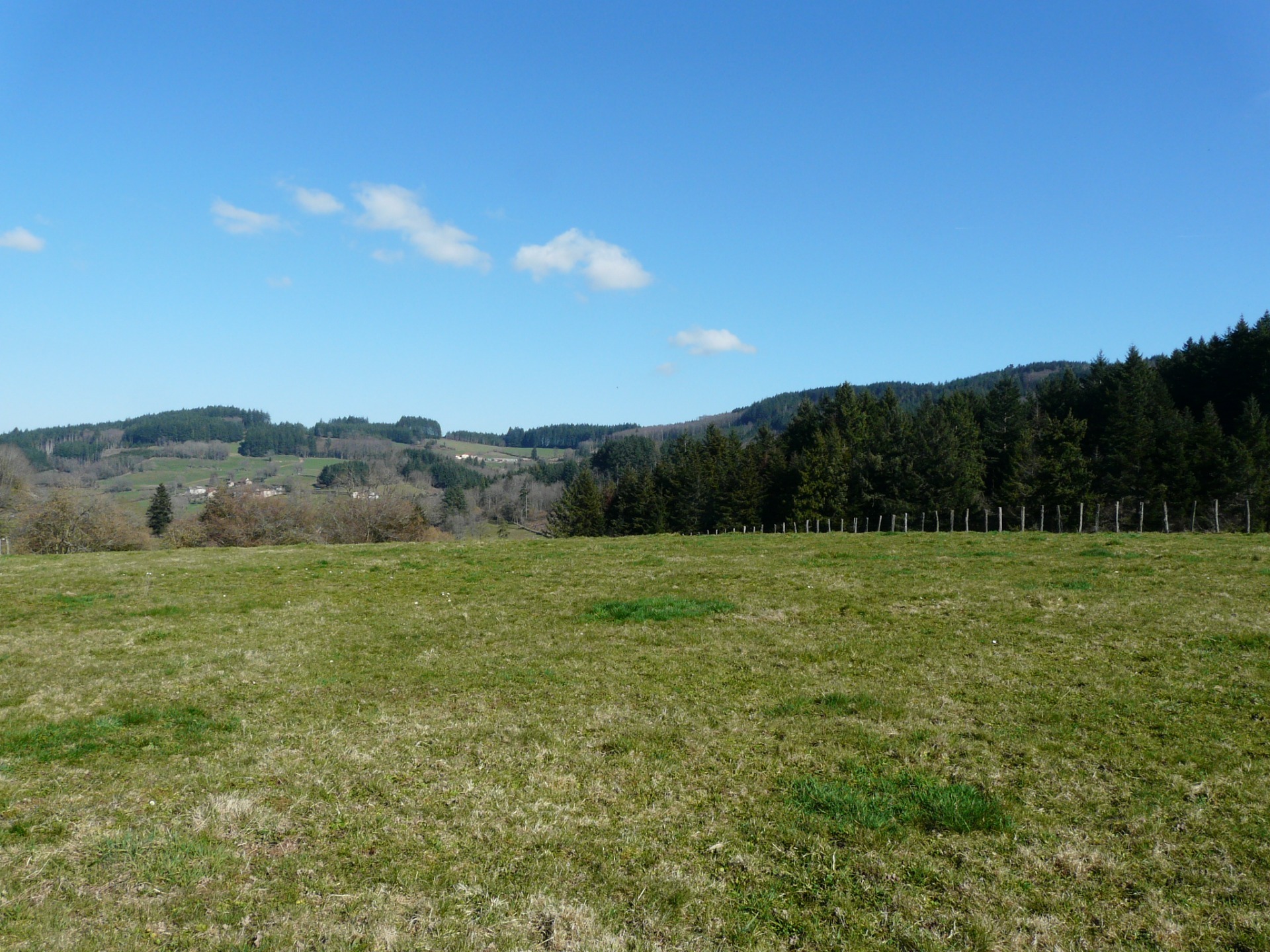 Terrain