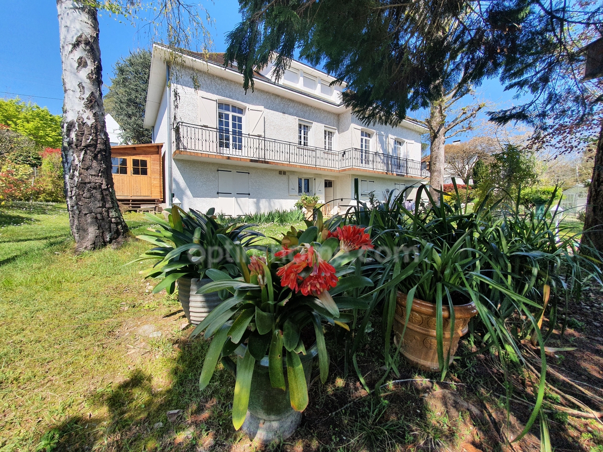 Maison
