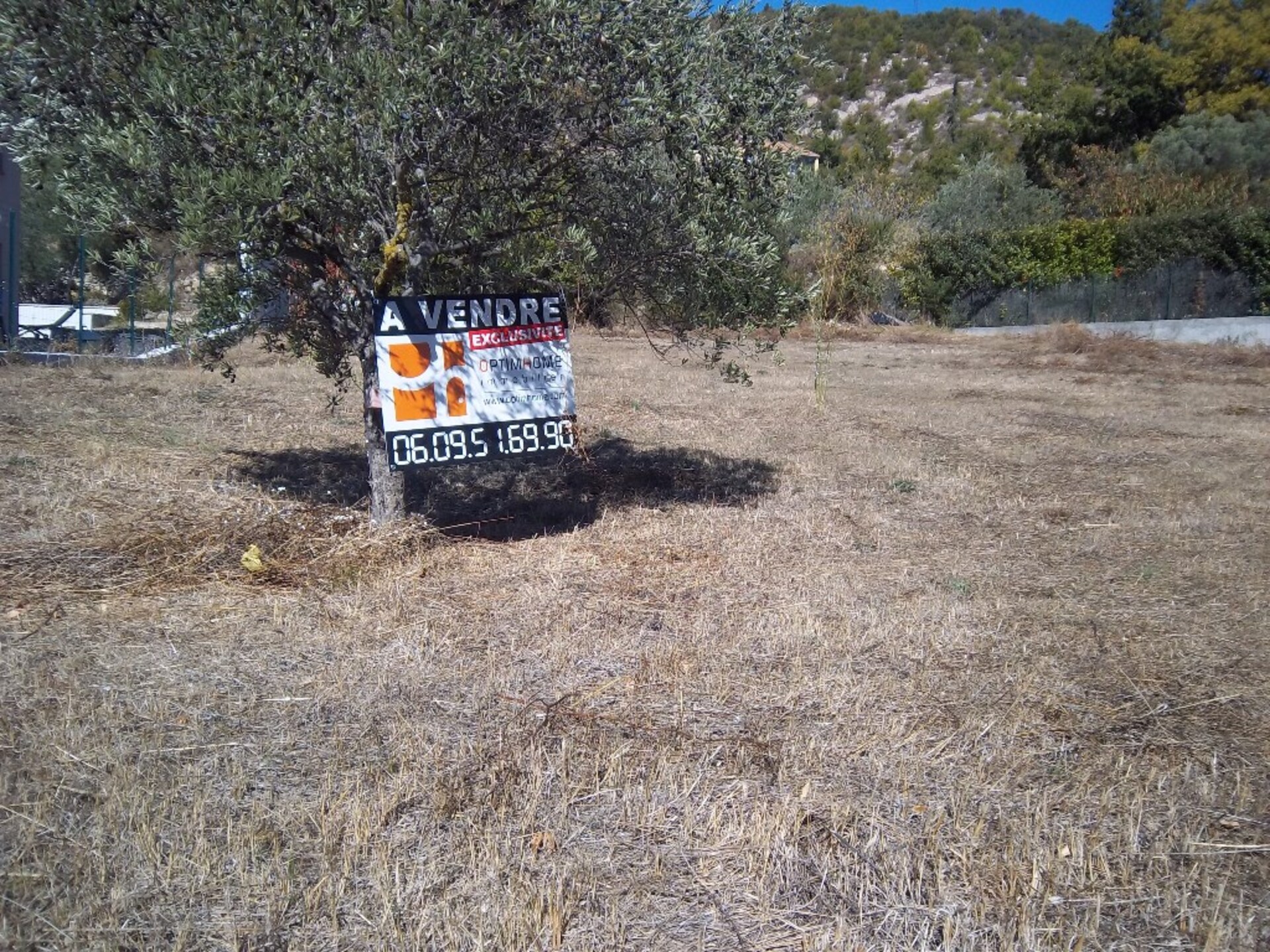 Land
