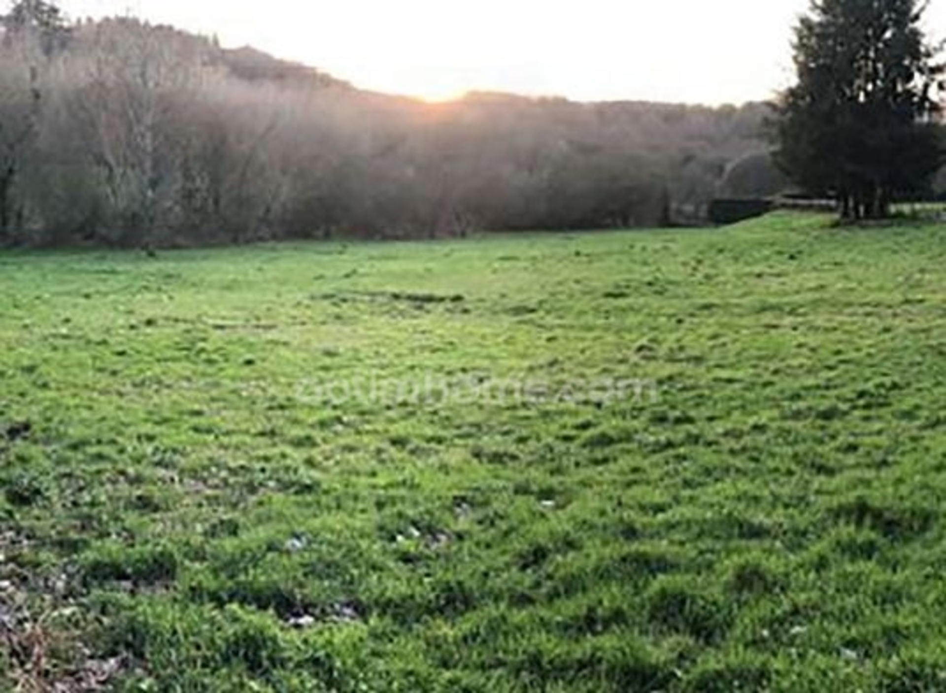 Terrain
