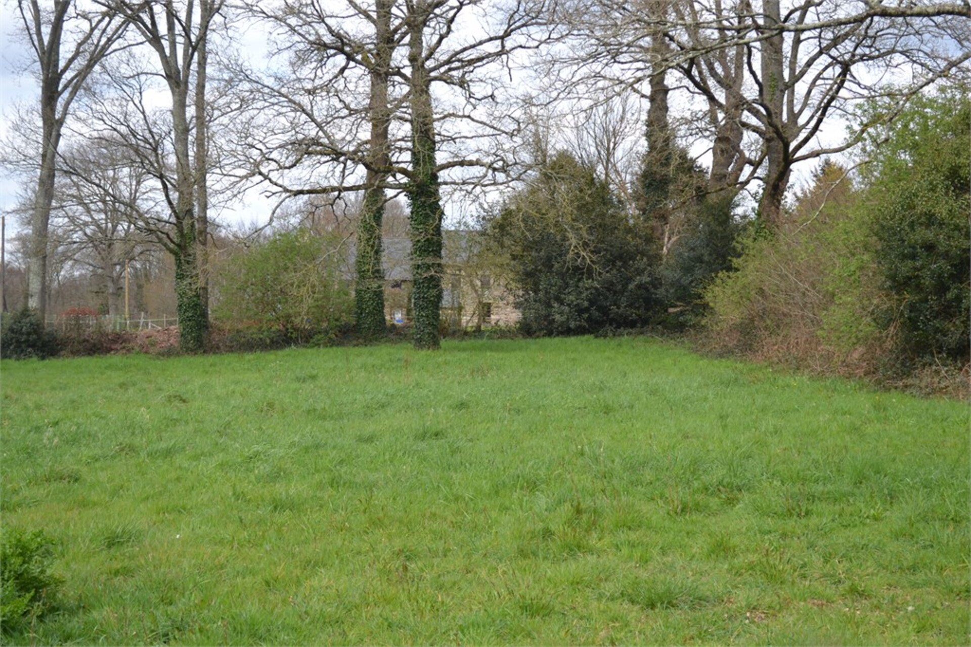 Terrain
