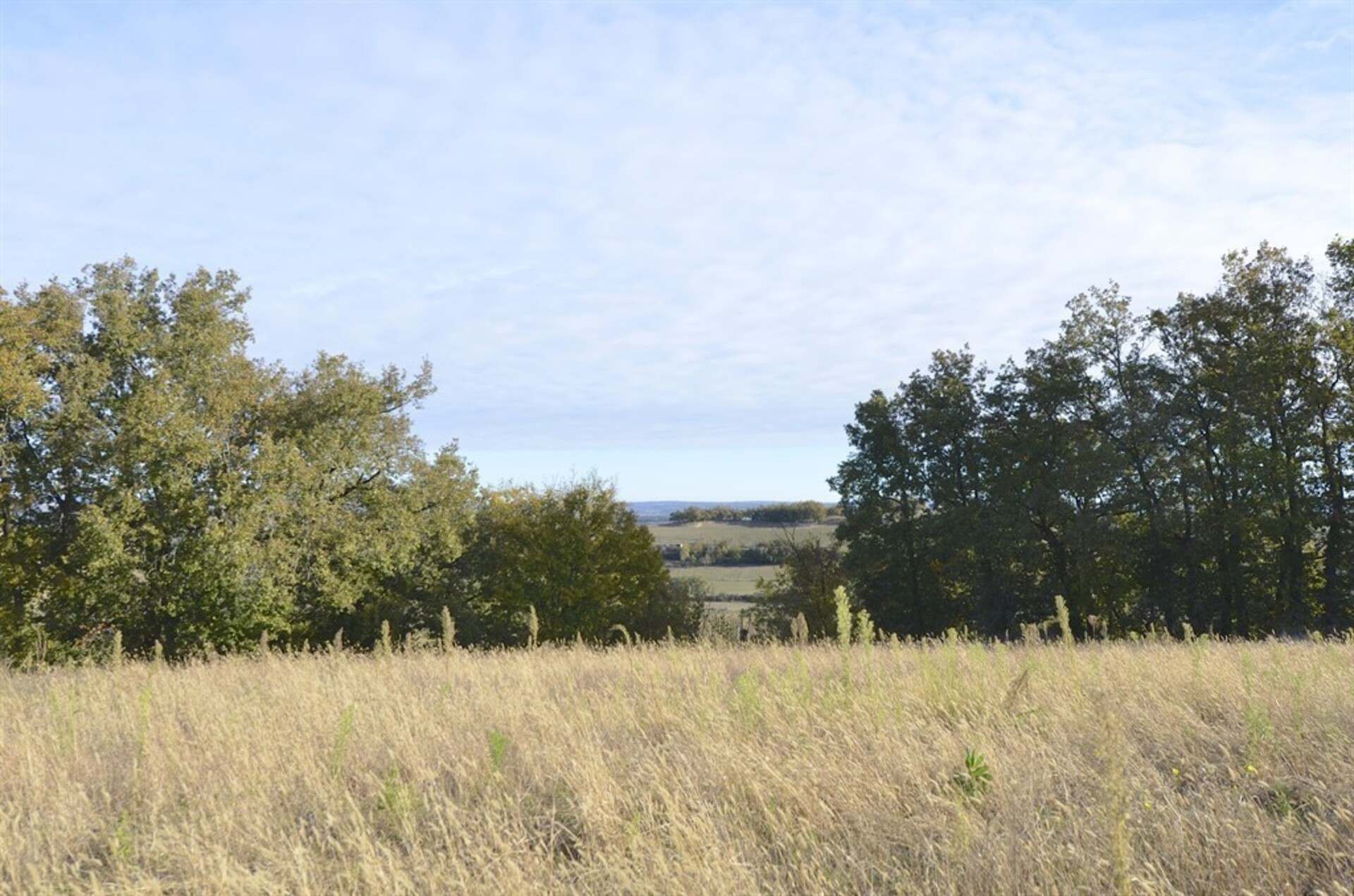 Terrain