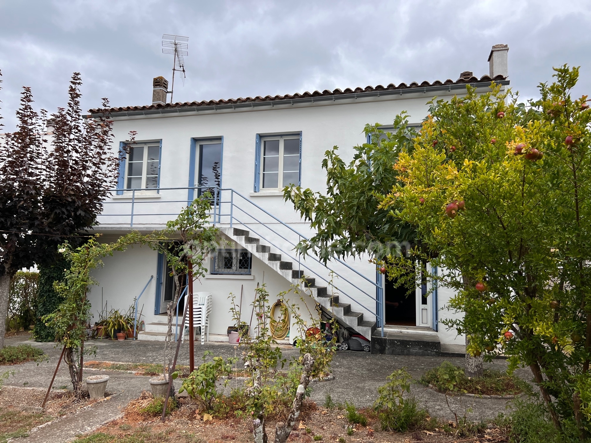 Maison