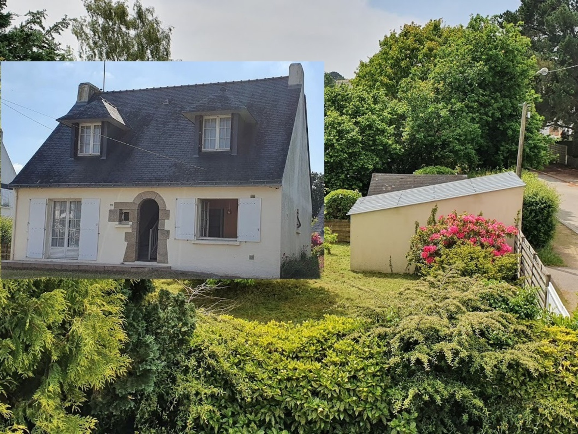 Maison
