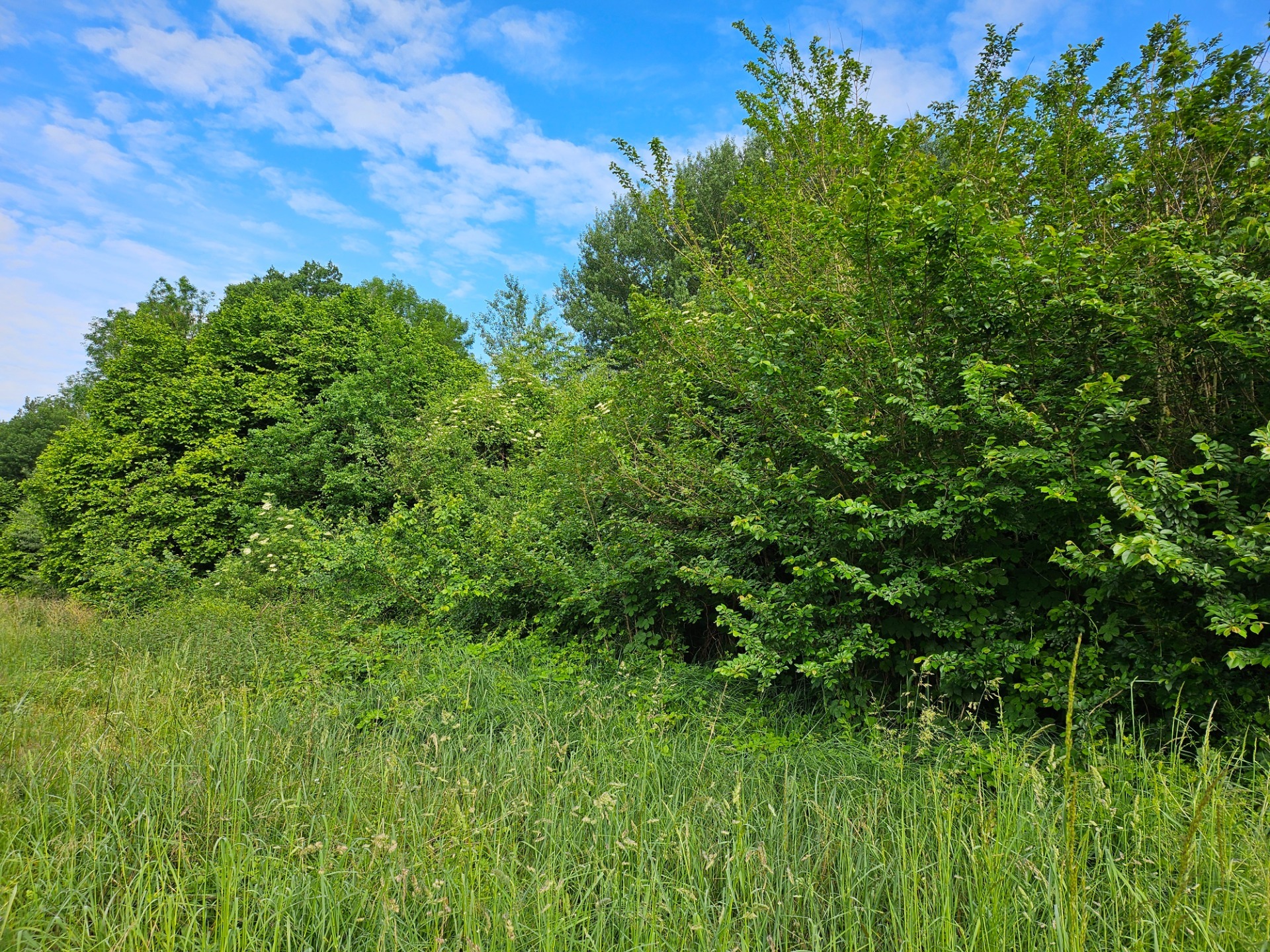 Terrain