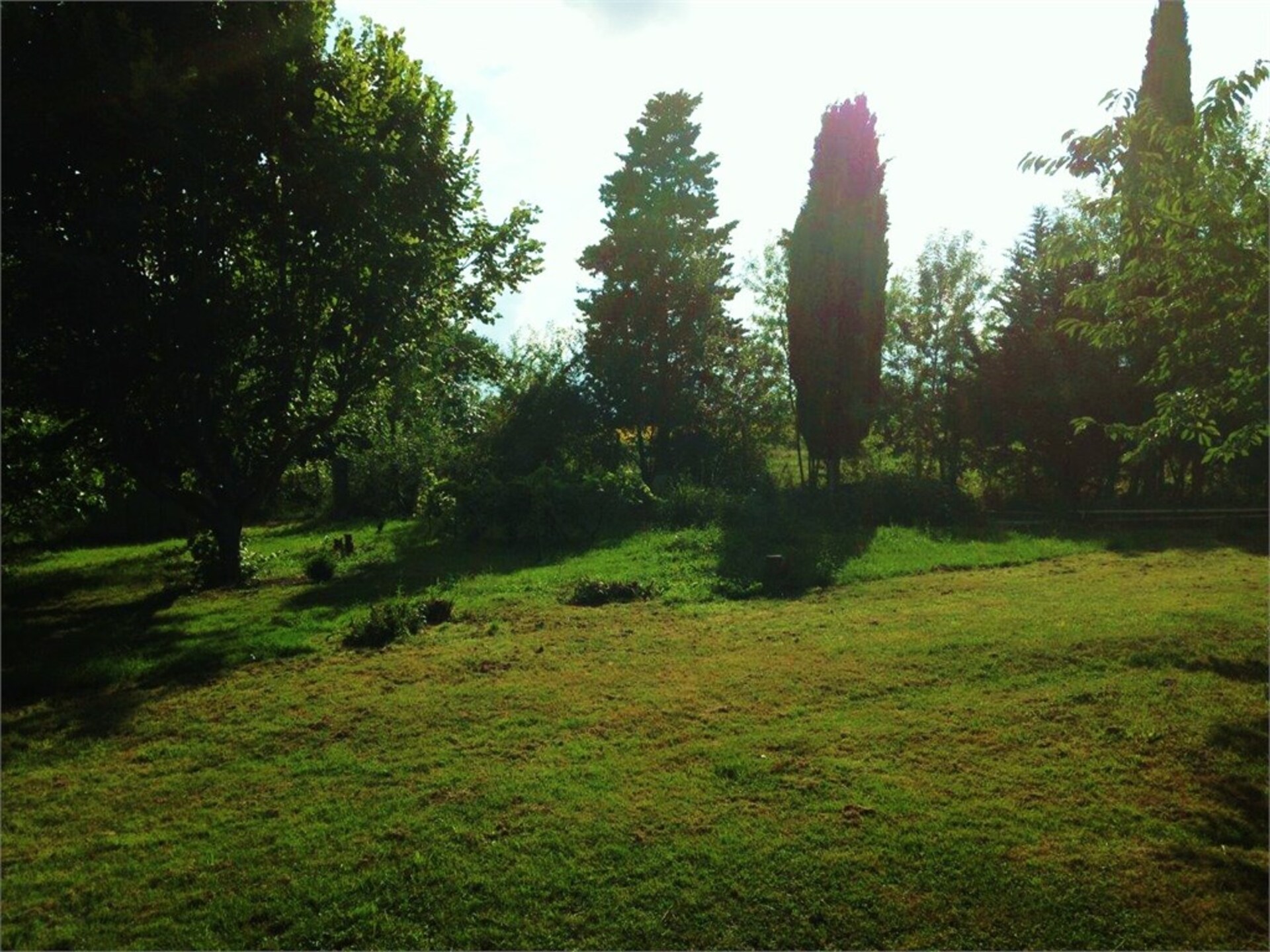 Terrain