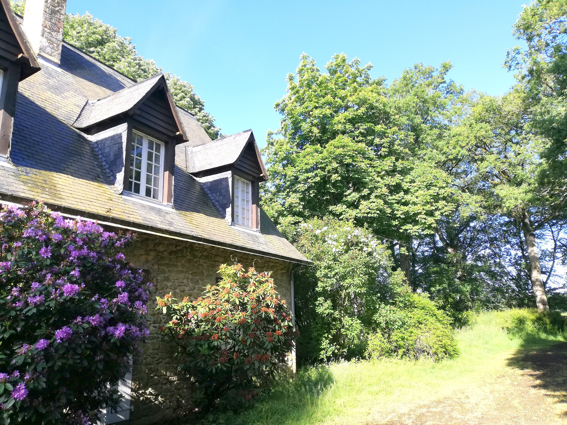 Maison