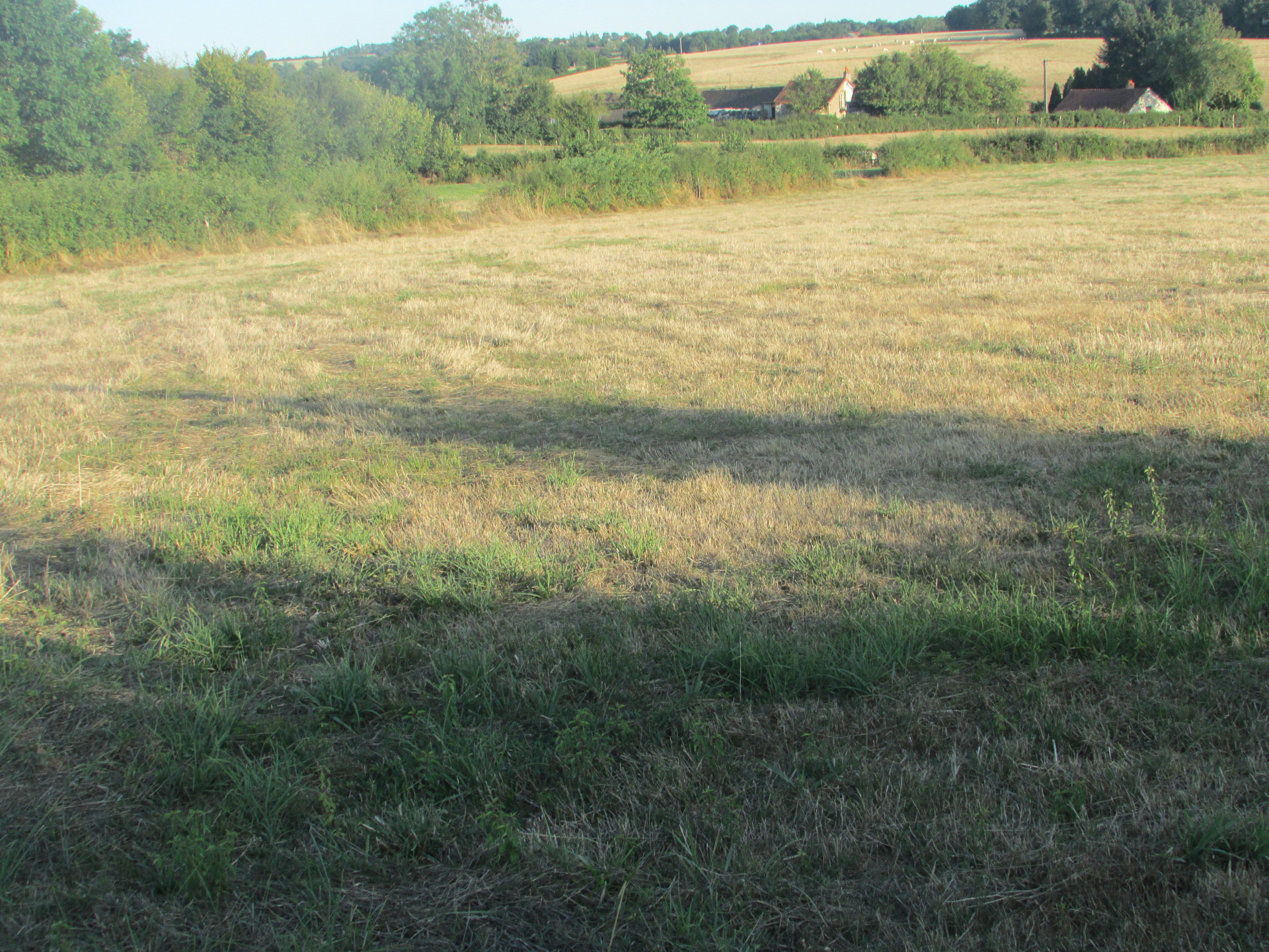 Terrain