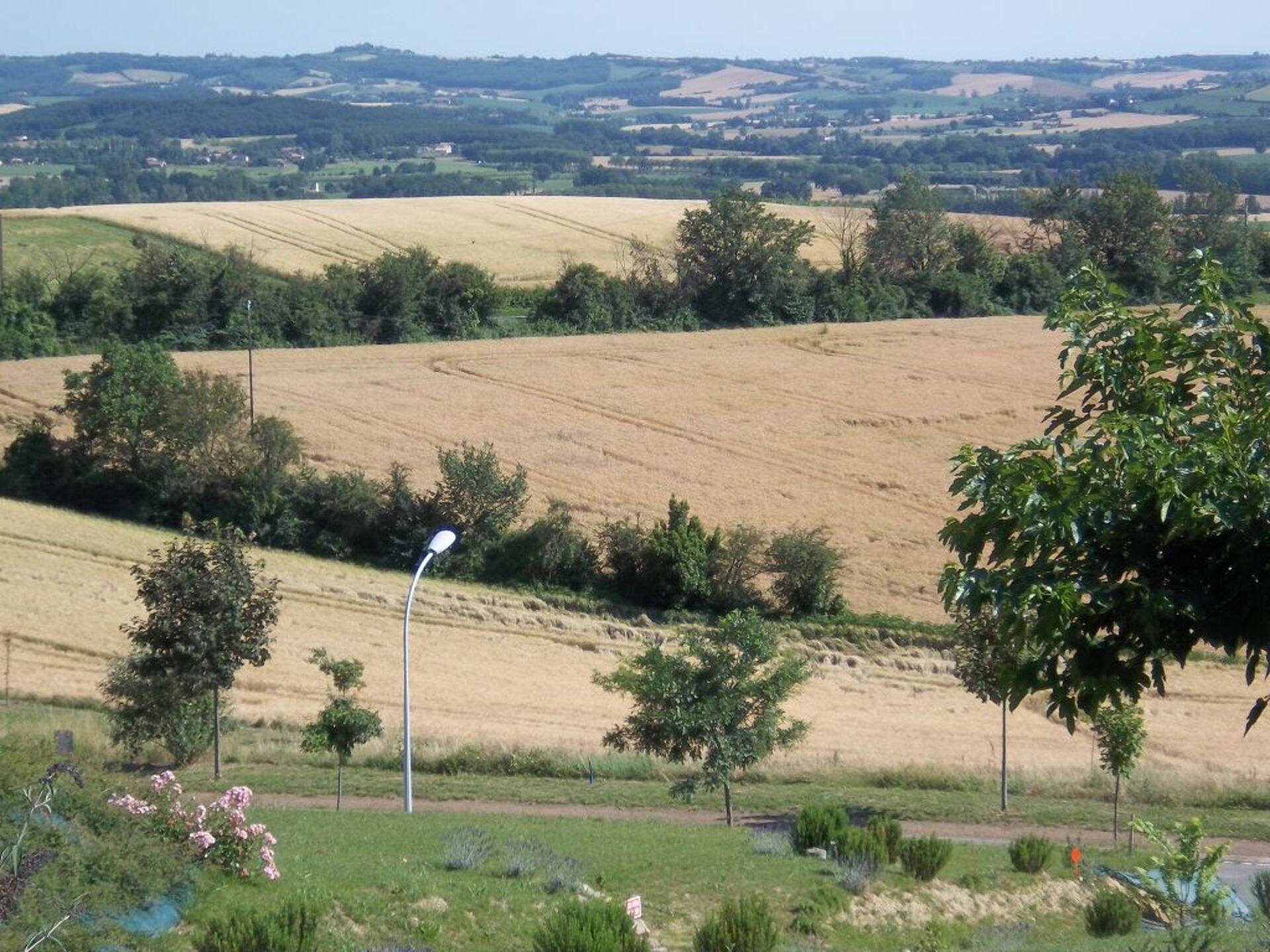 Terrain