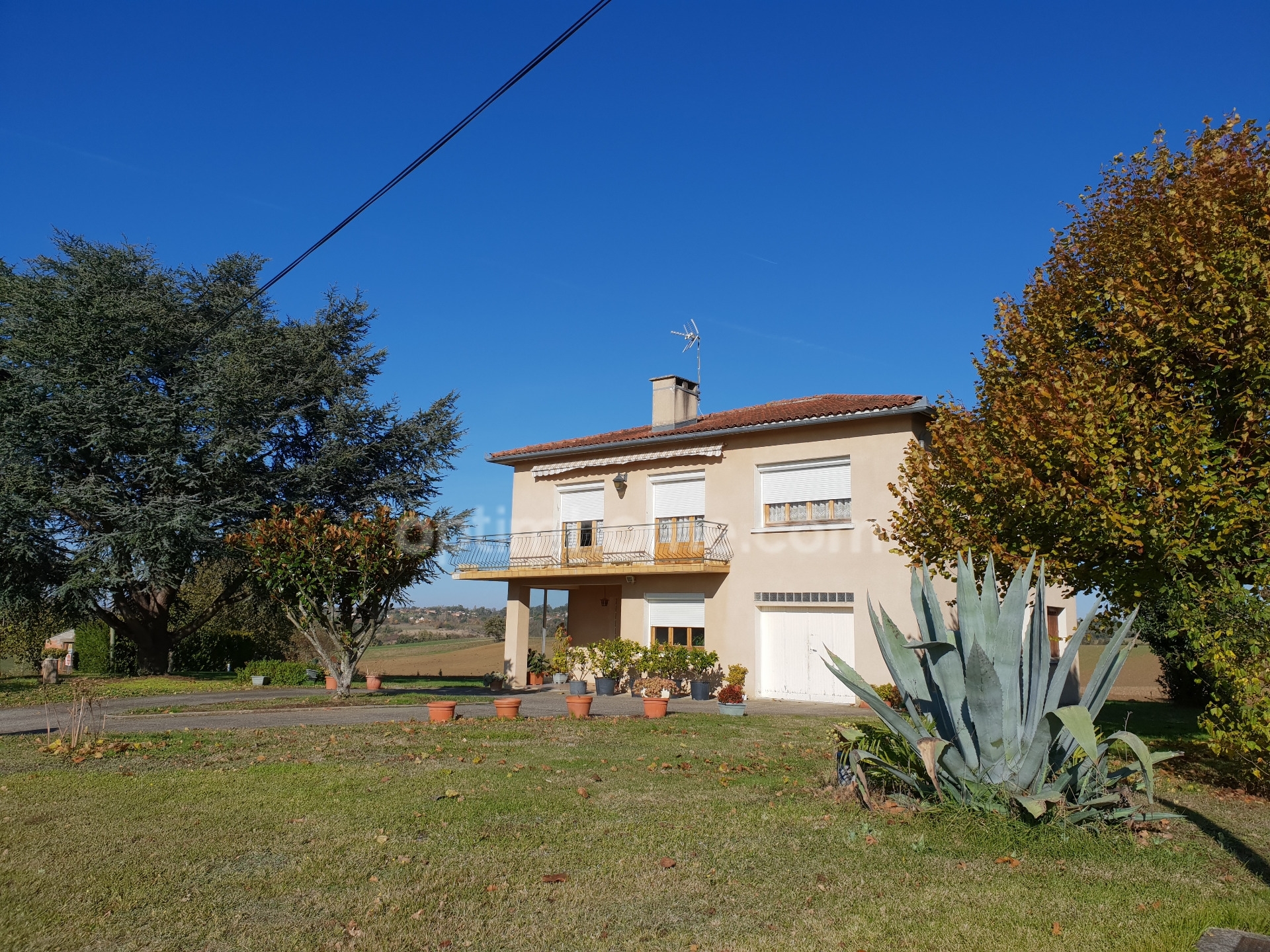 Maison