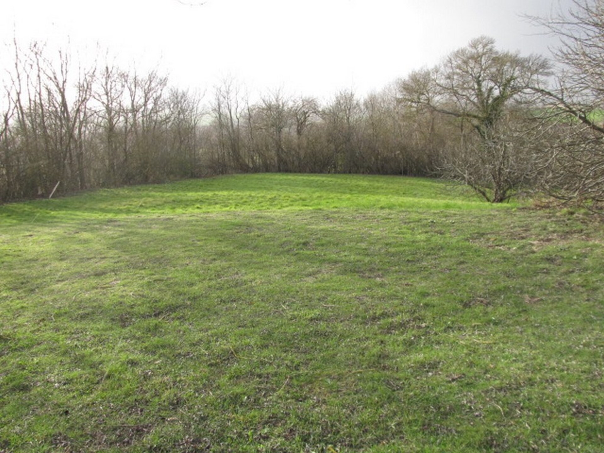 Land