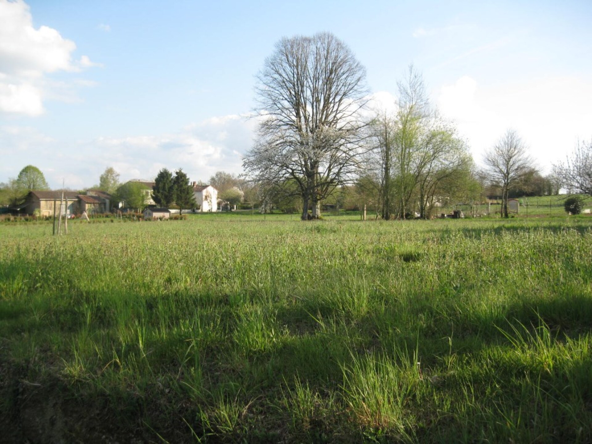 Terrain