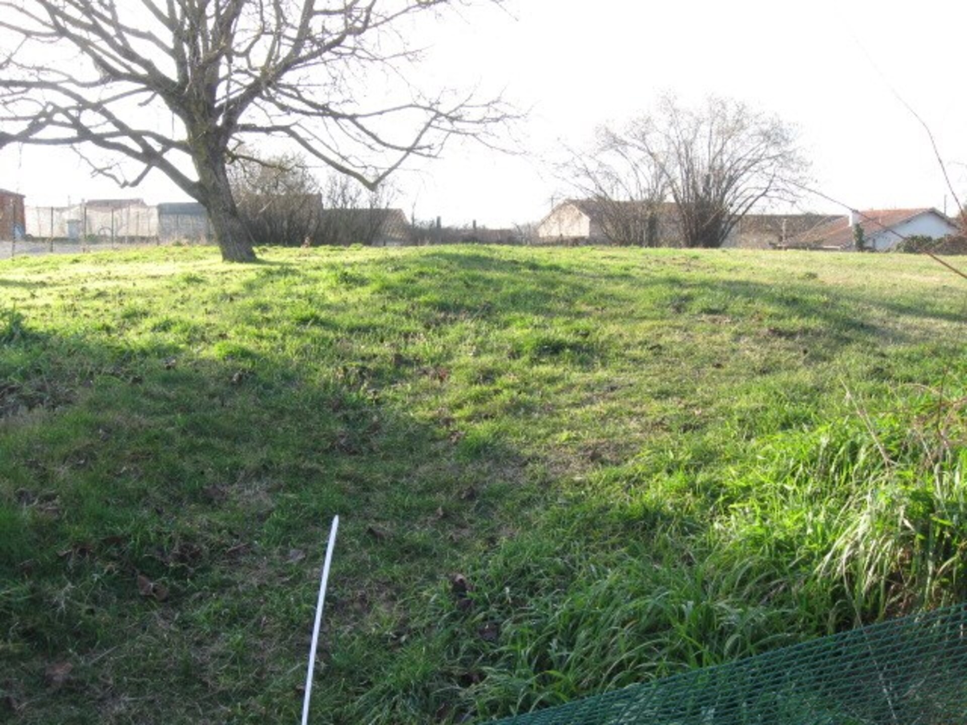 Terrain