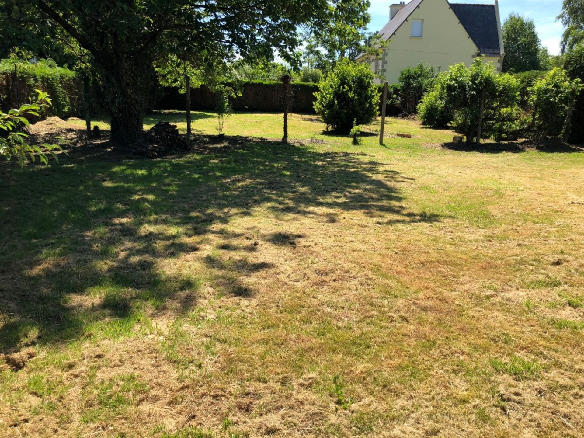Terrain