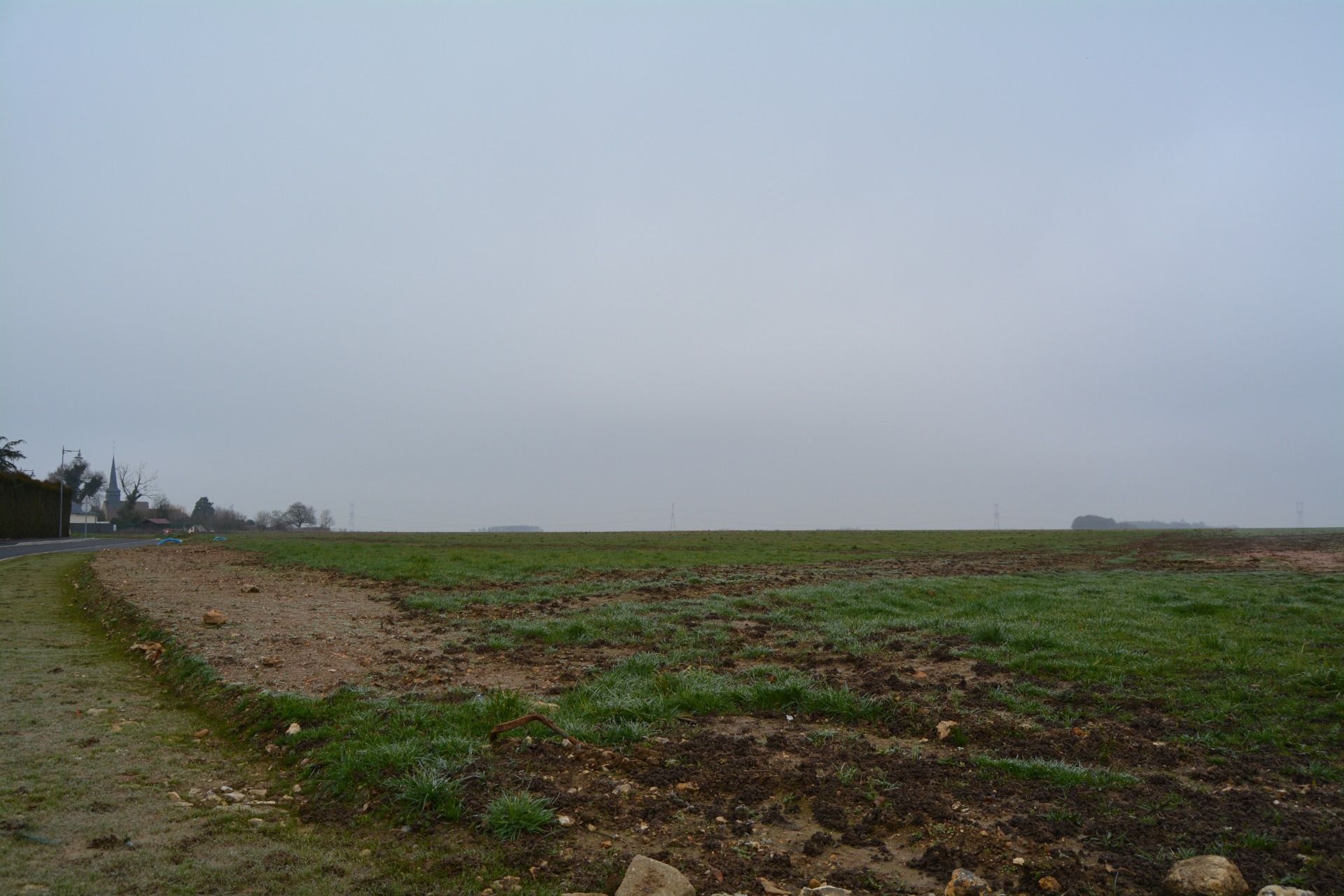 Terrain
