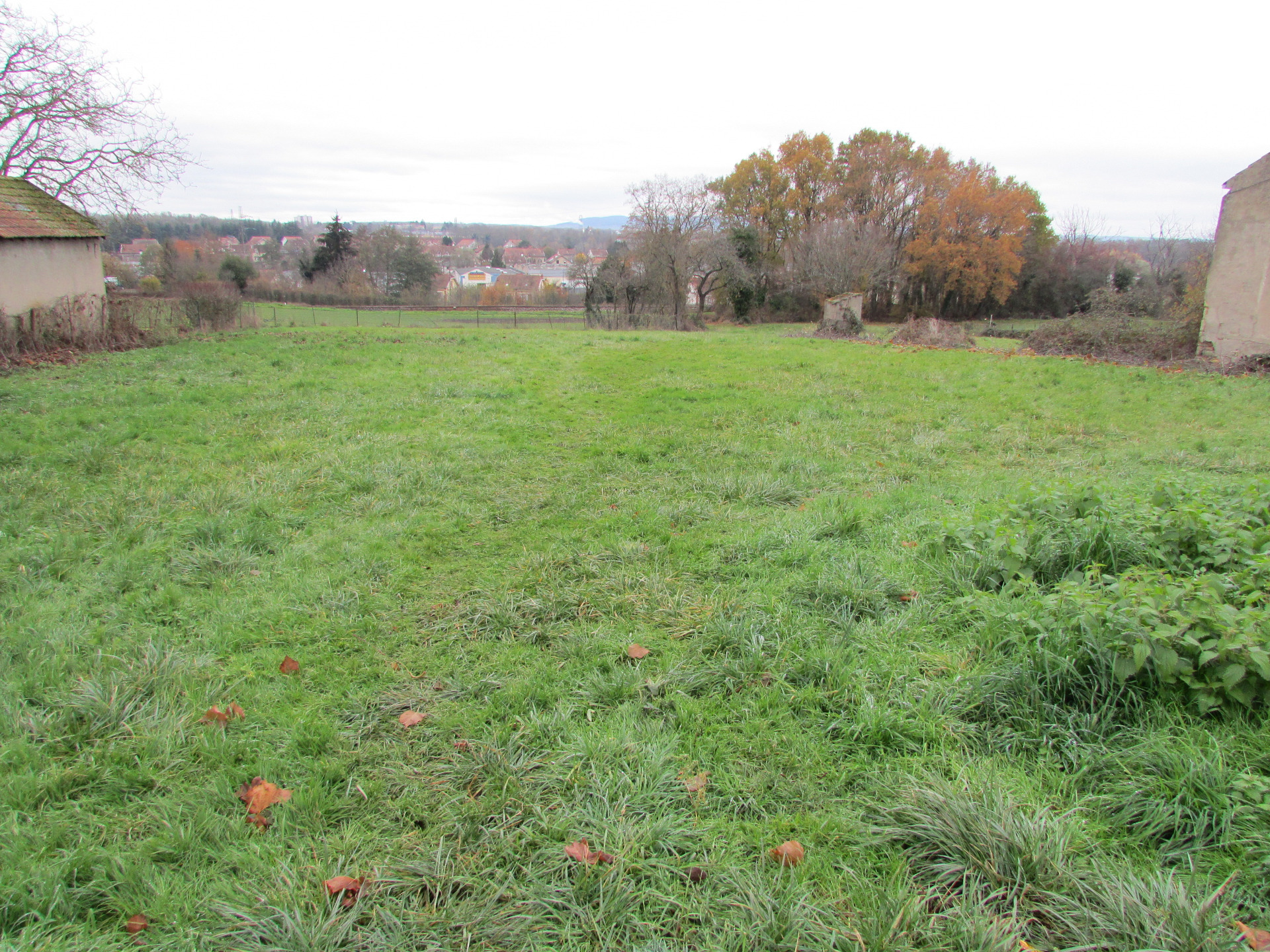 Terrain