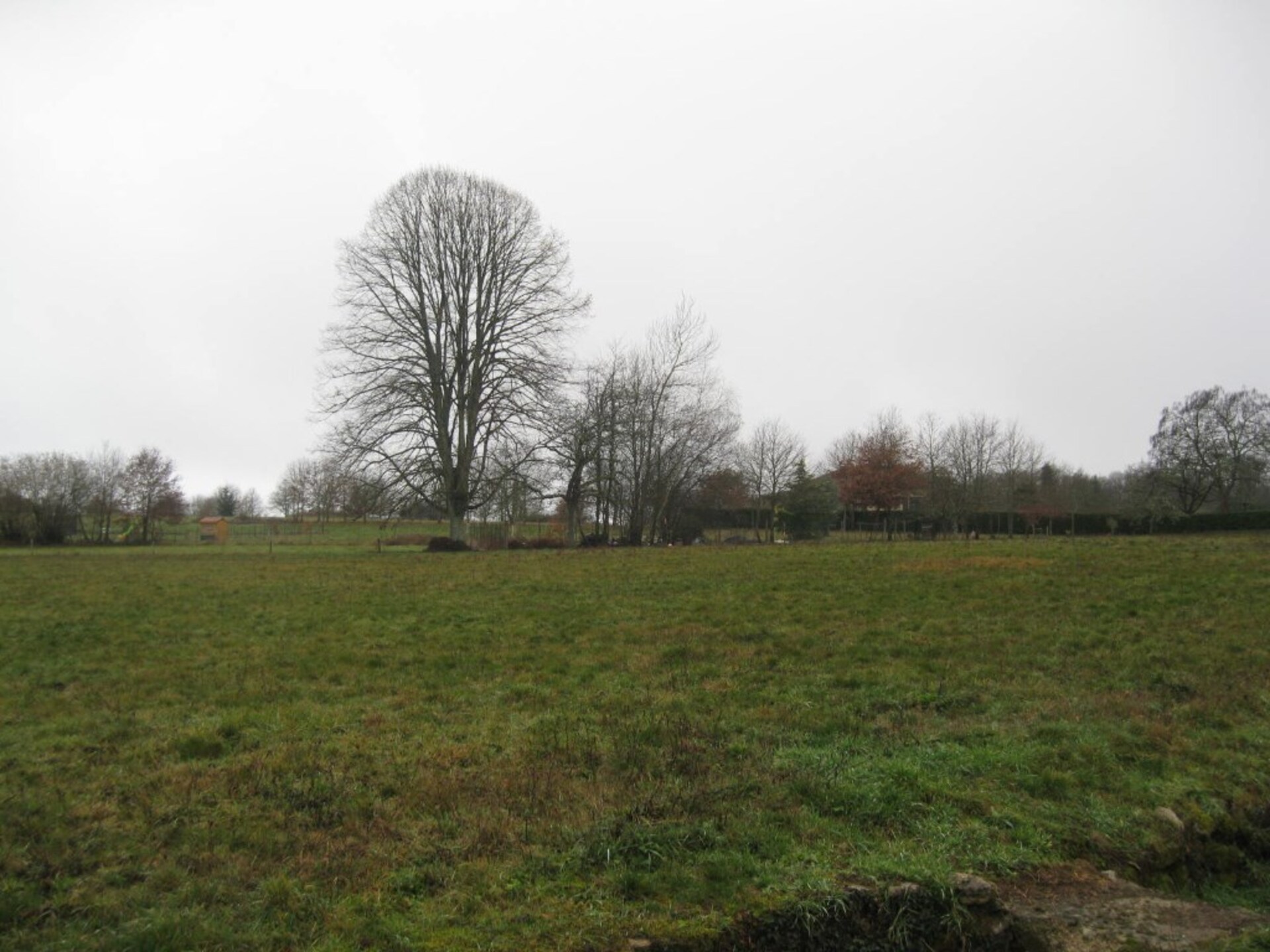 Terrain
