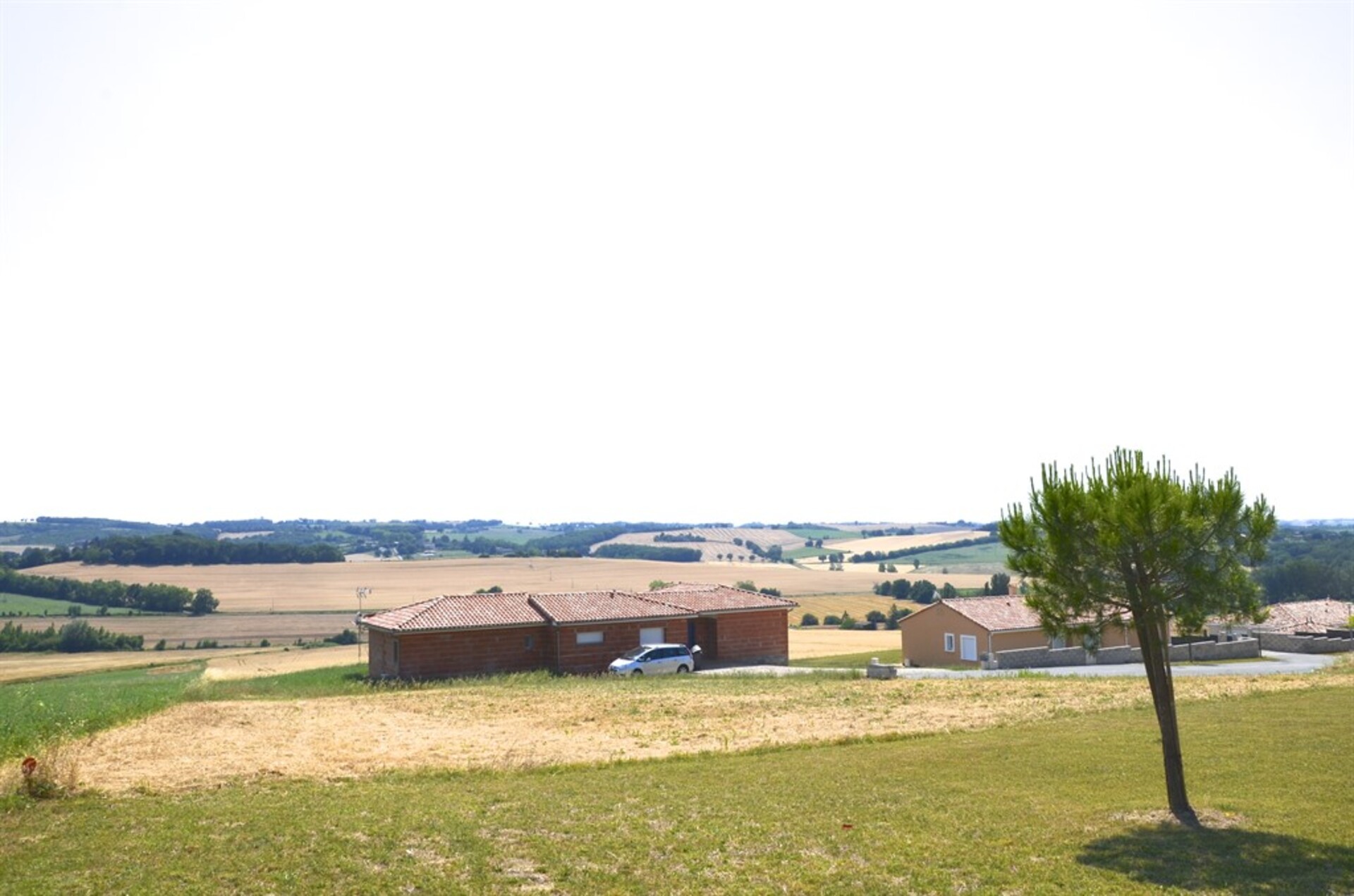 Terrain