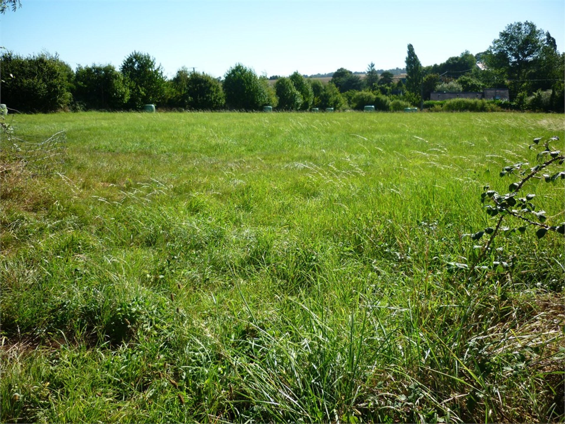 Terrain