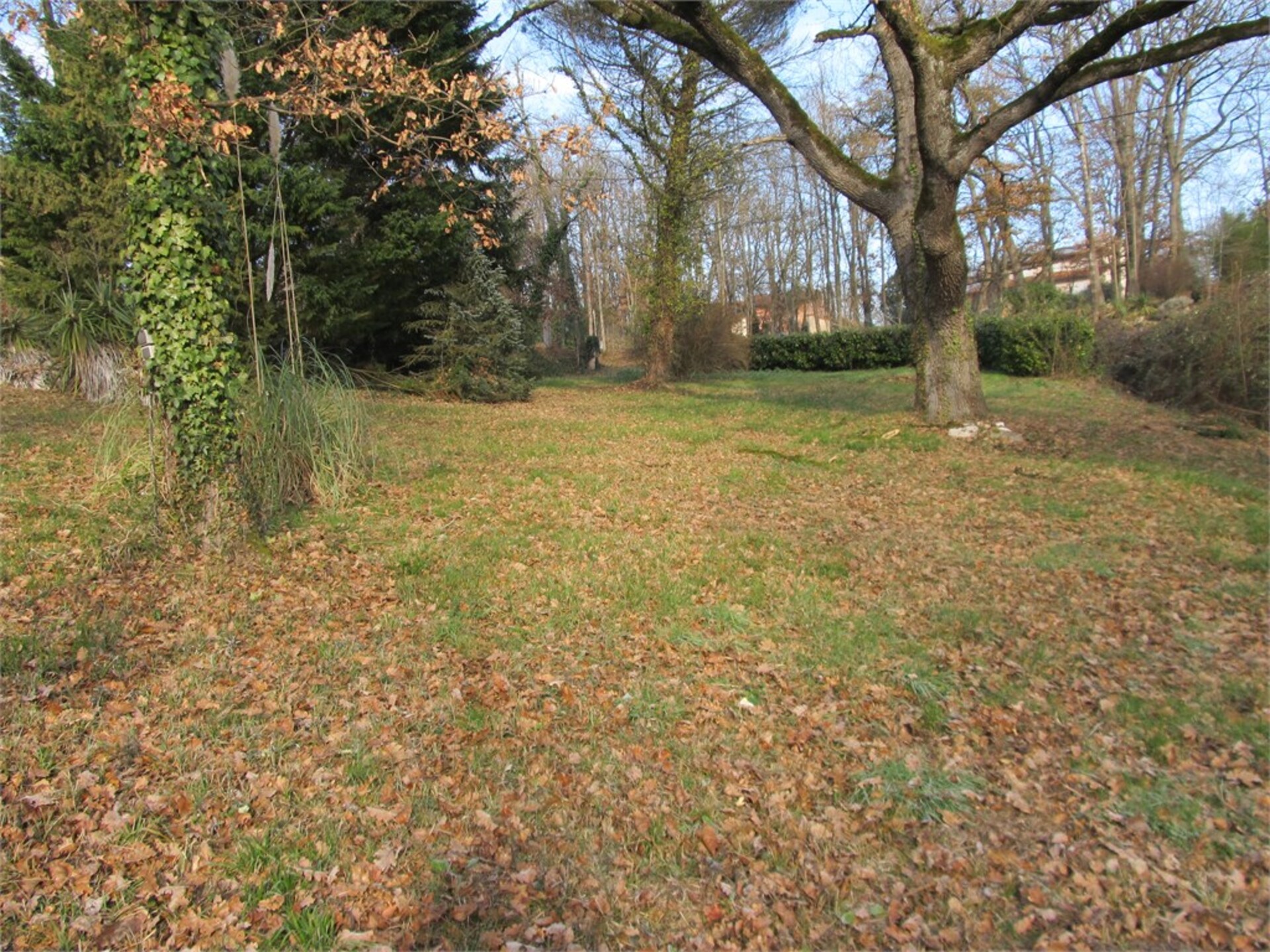 Land