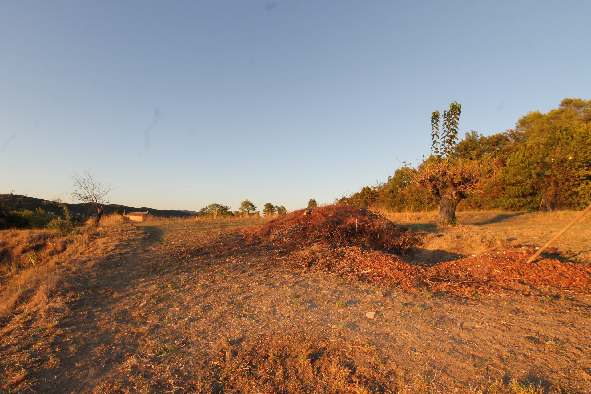 Terrain