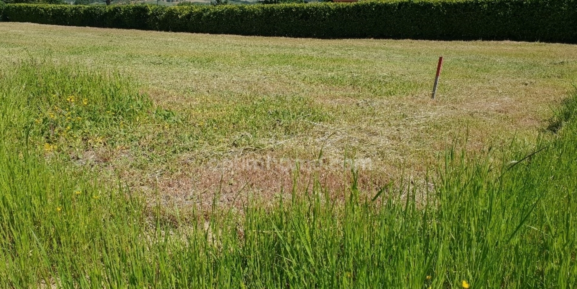 Terrain