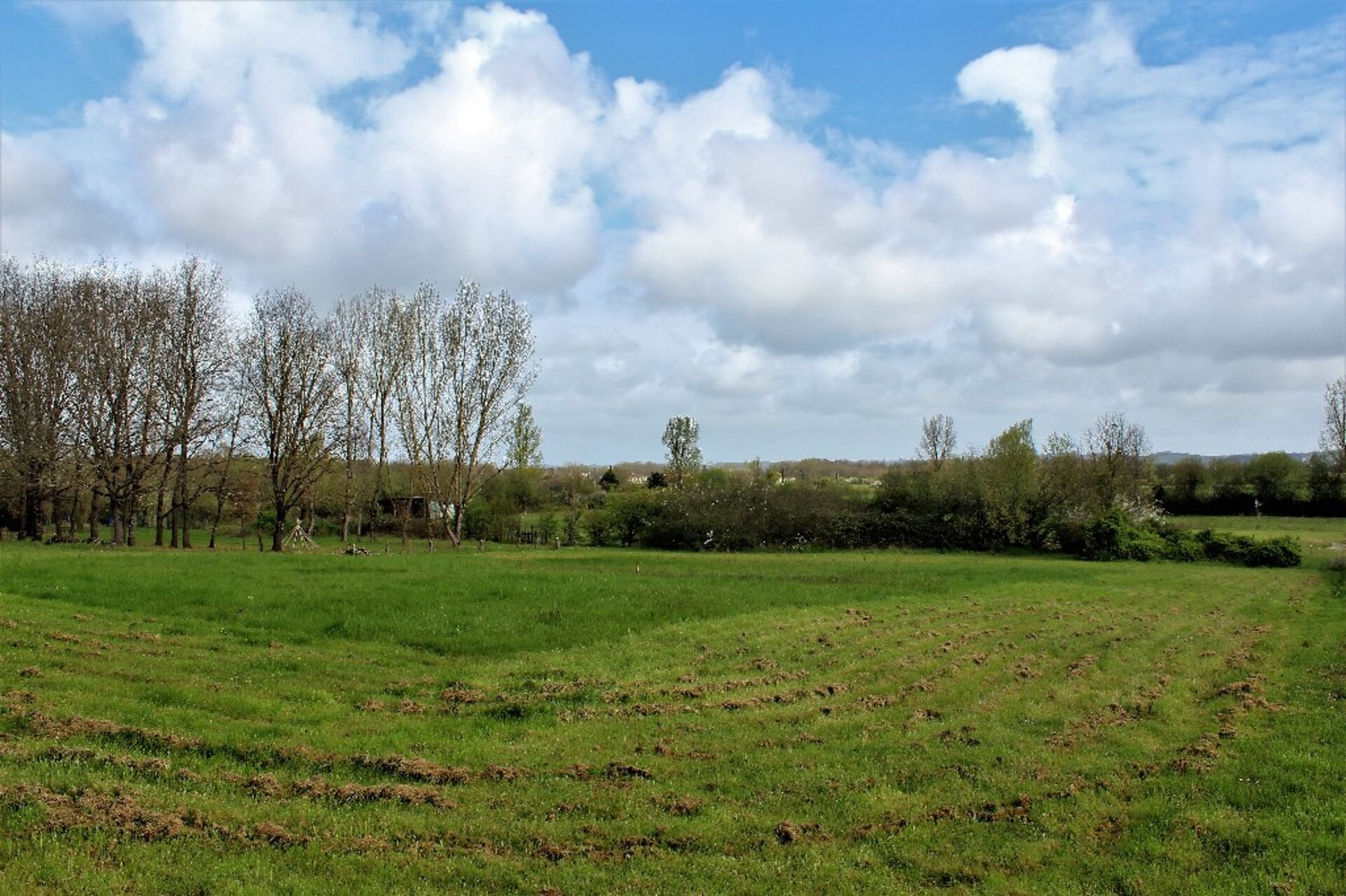 Terrain