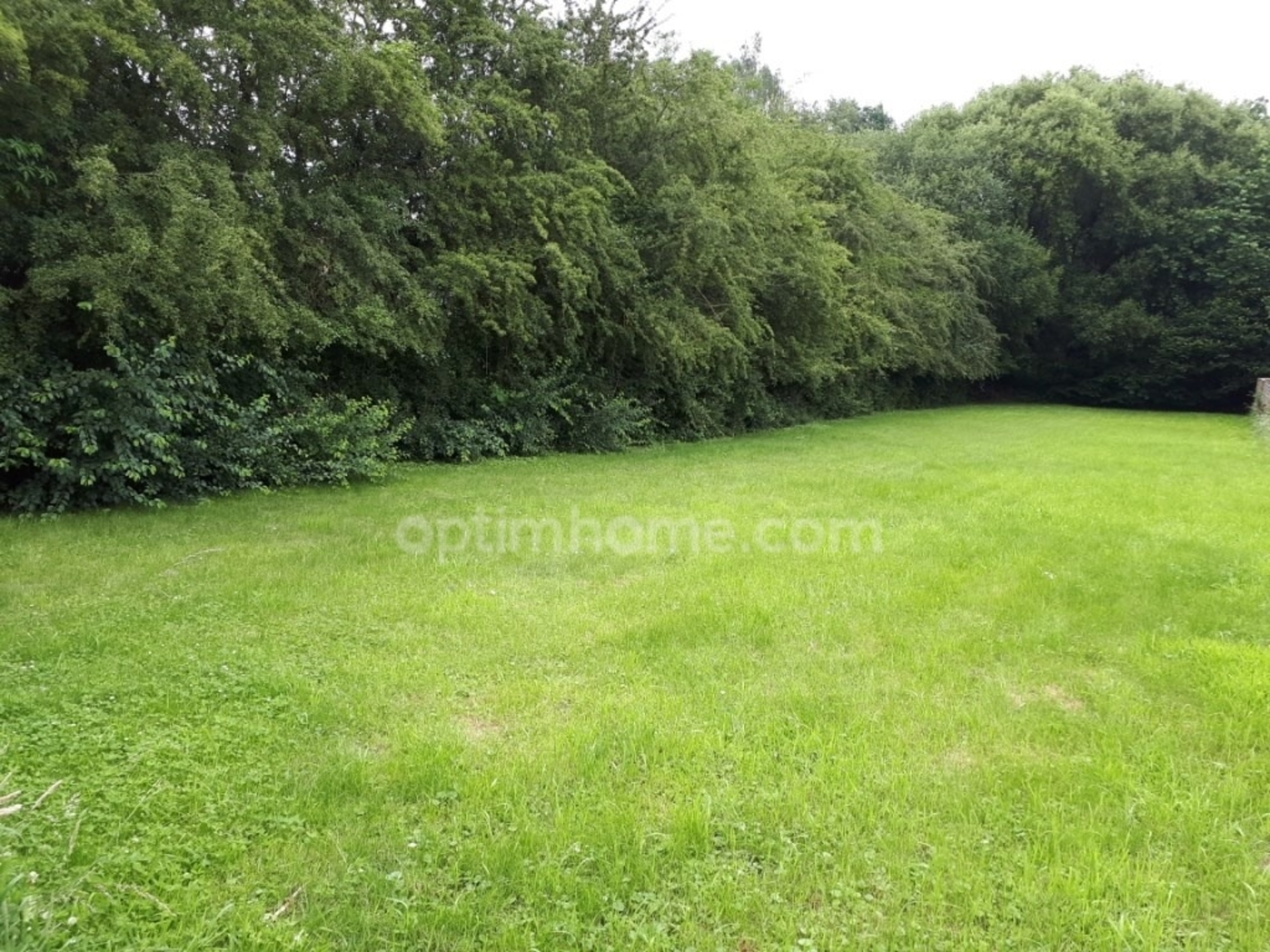 Terrain