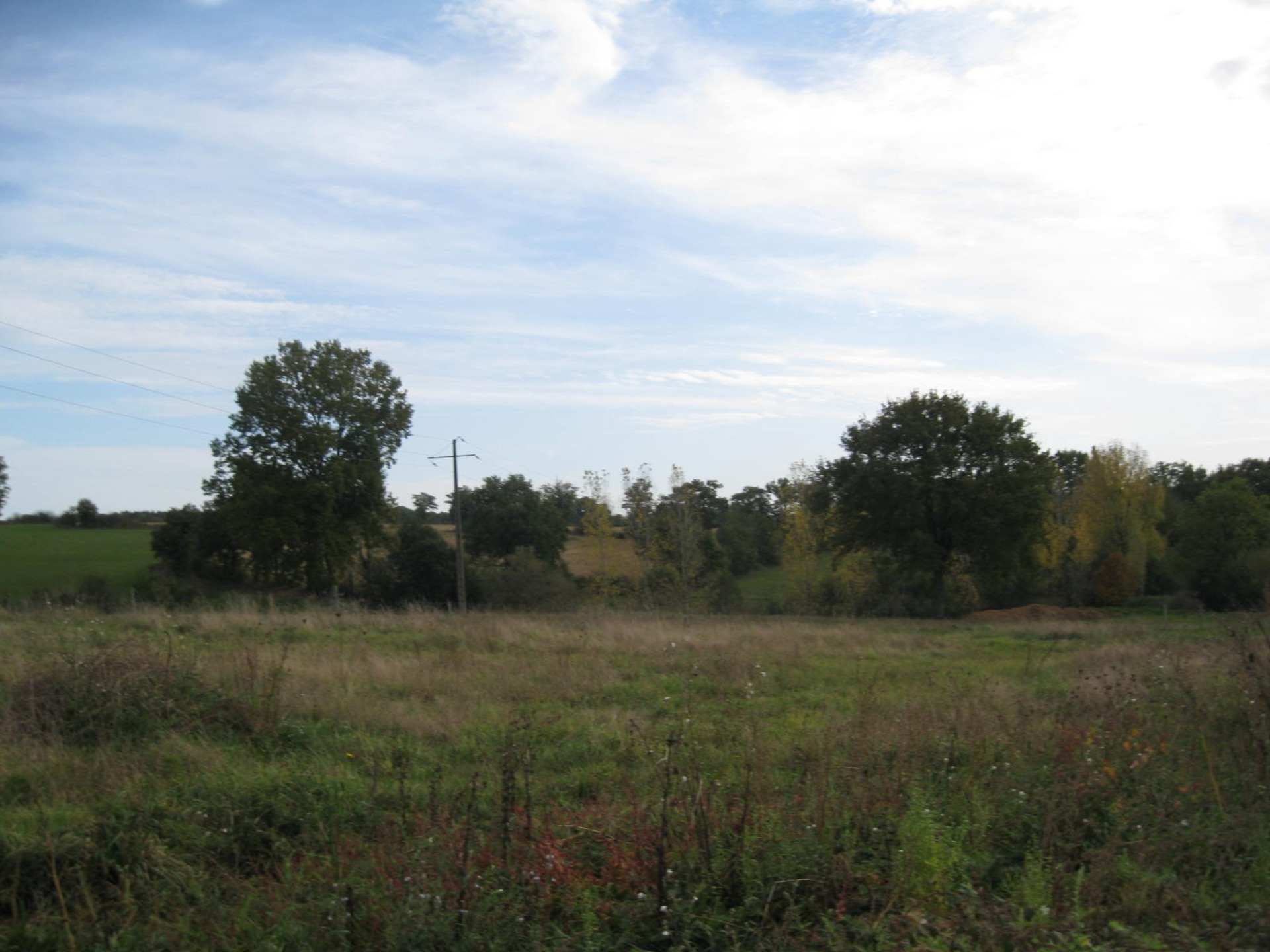 Terrain