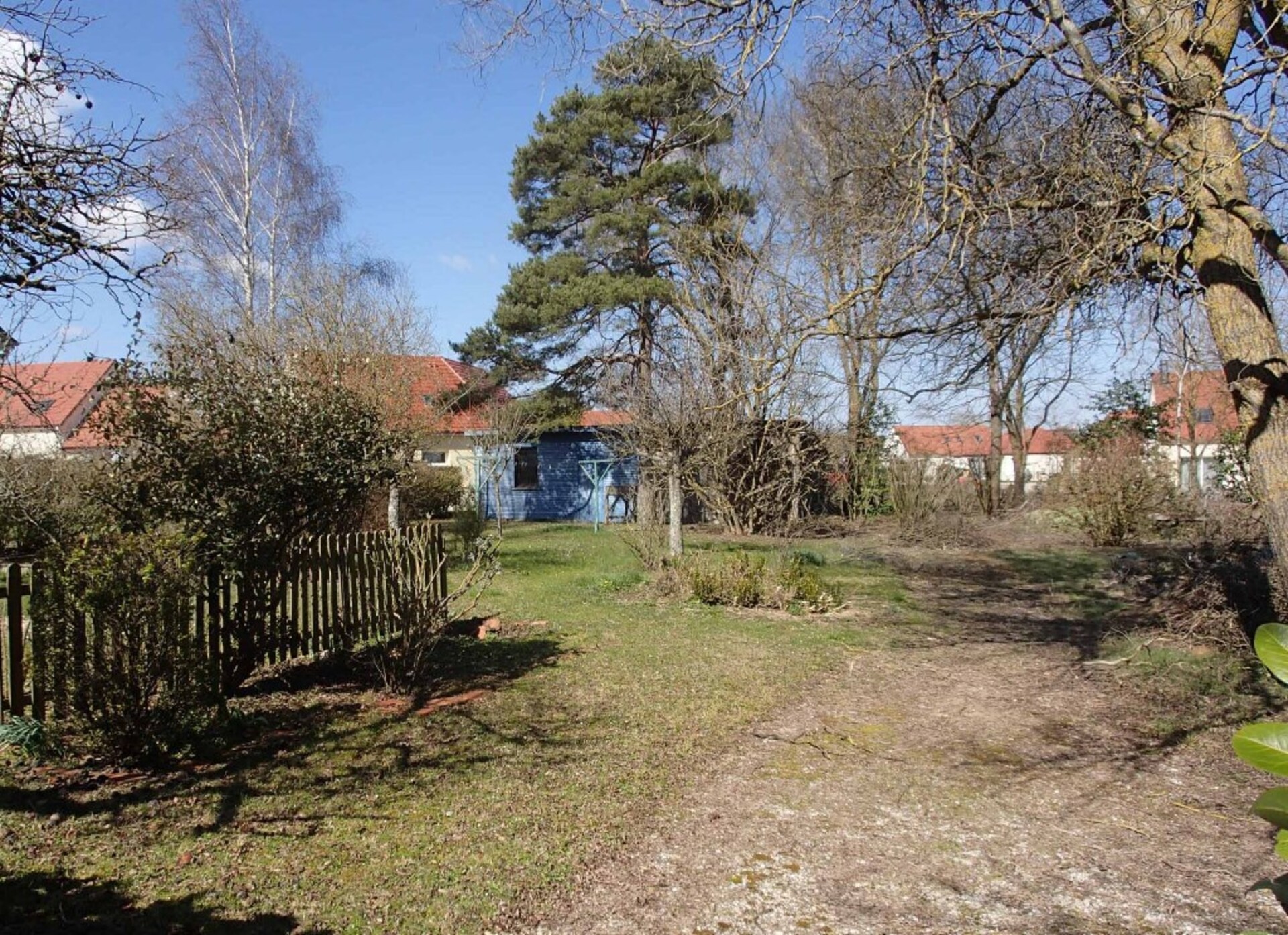 Terrain