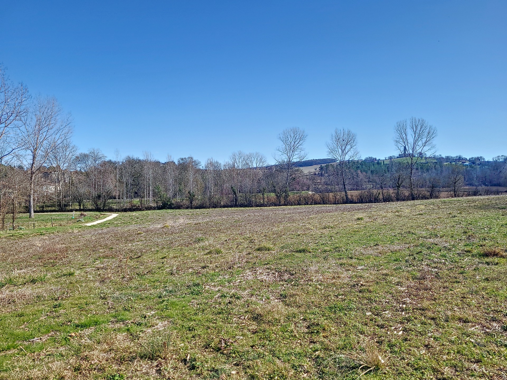 Terrain