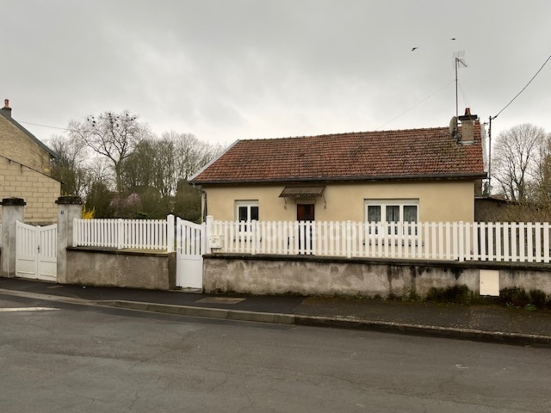 Maison