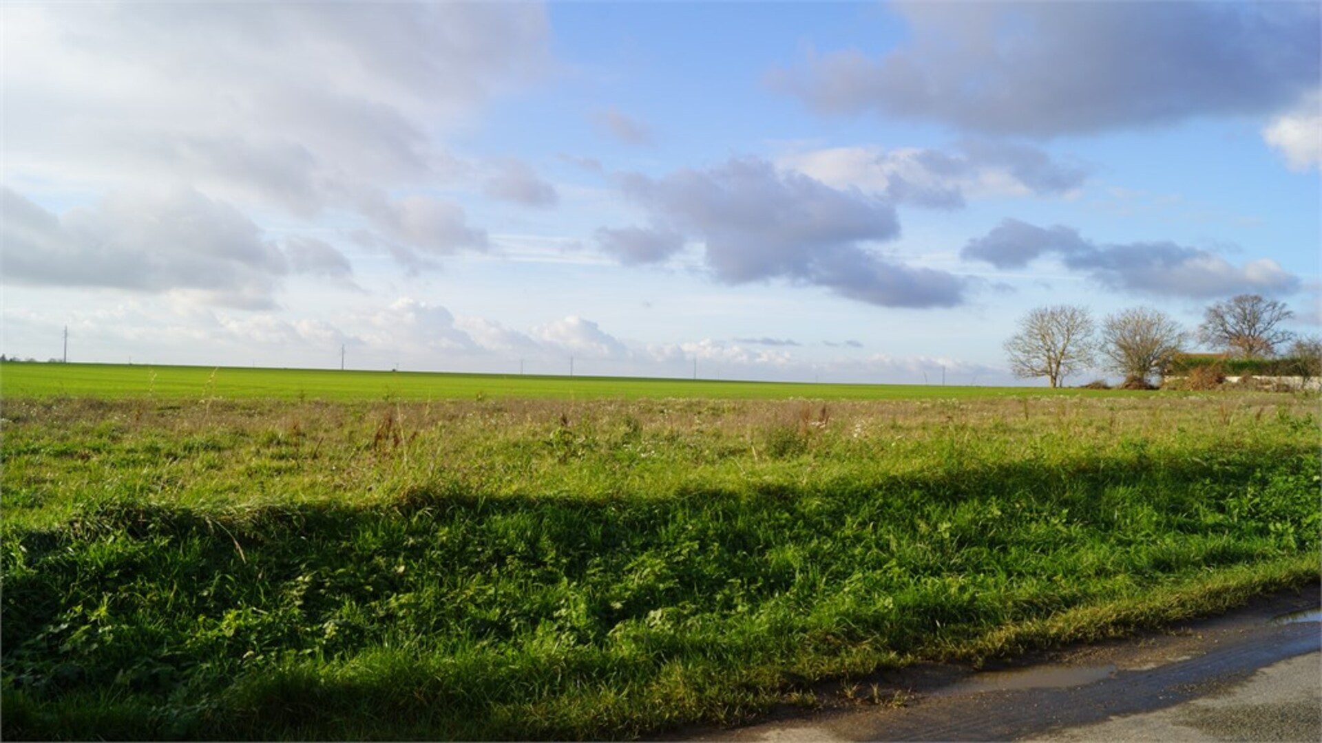 Terrain