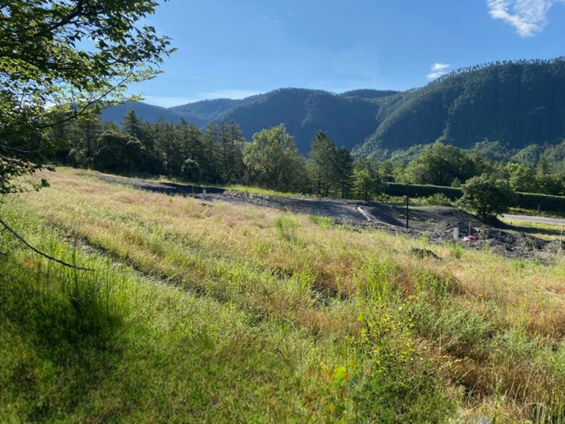 Terrain