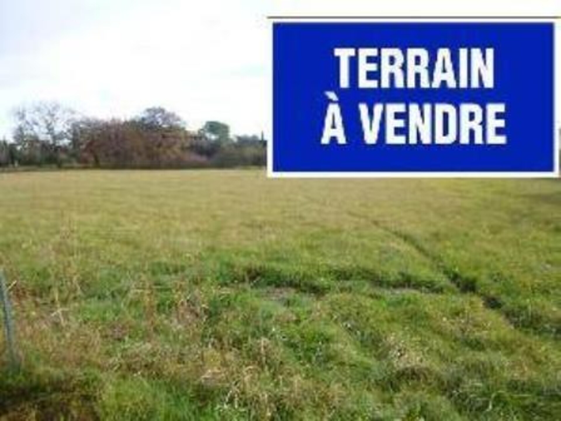 Terrain