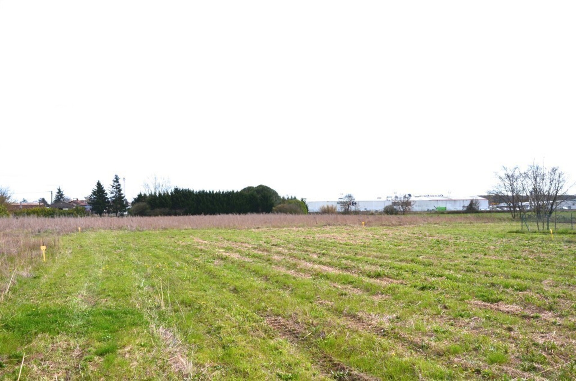 Terrain