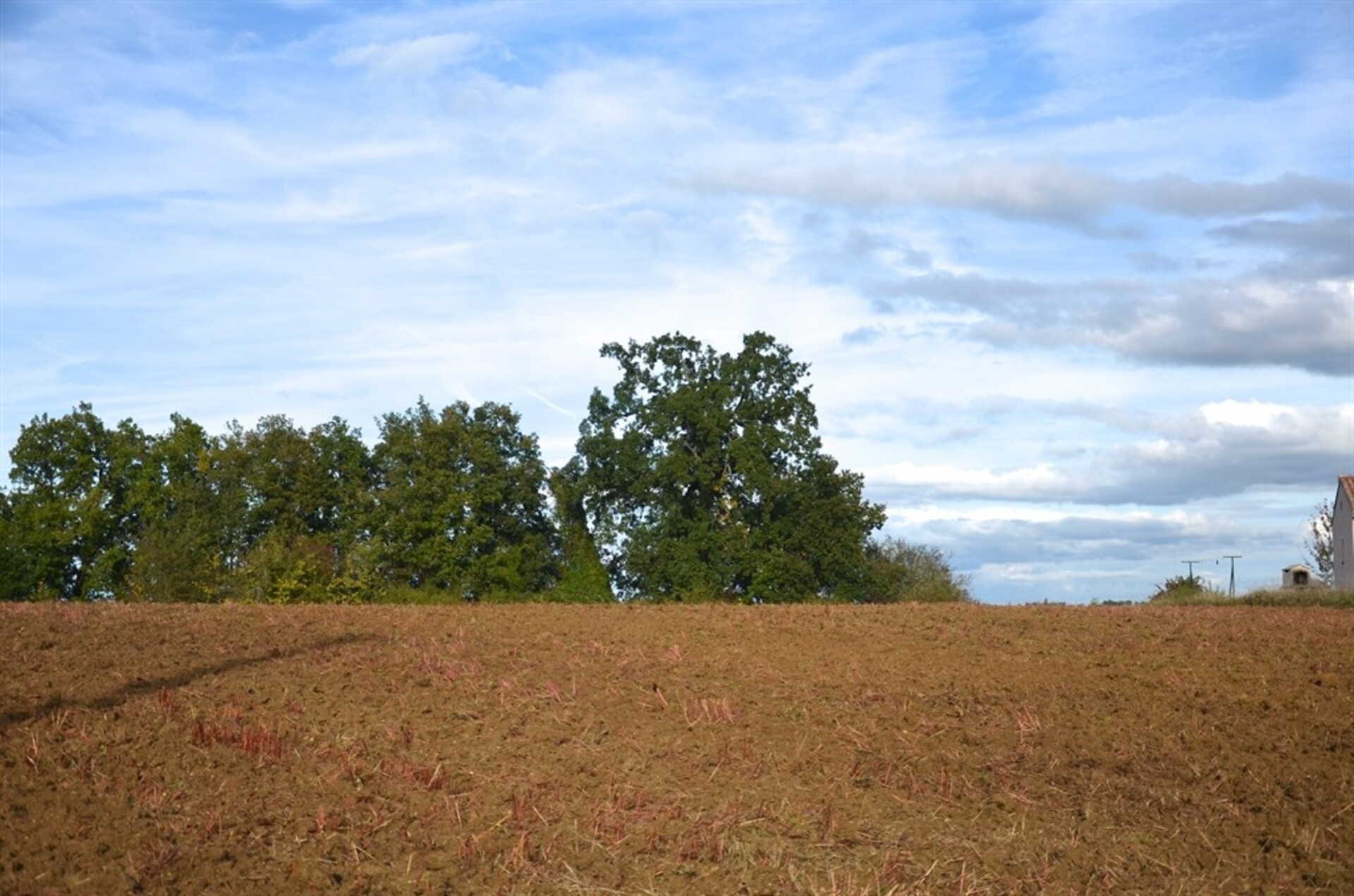 Terrain