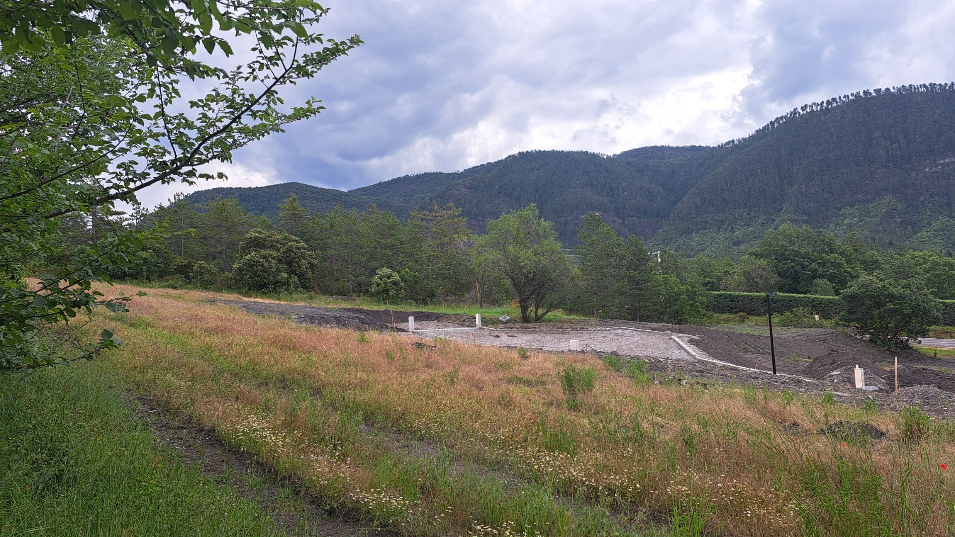 Terrain
